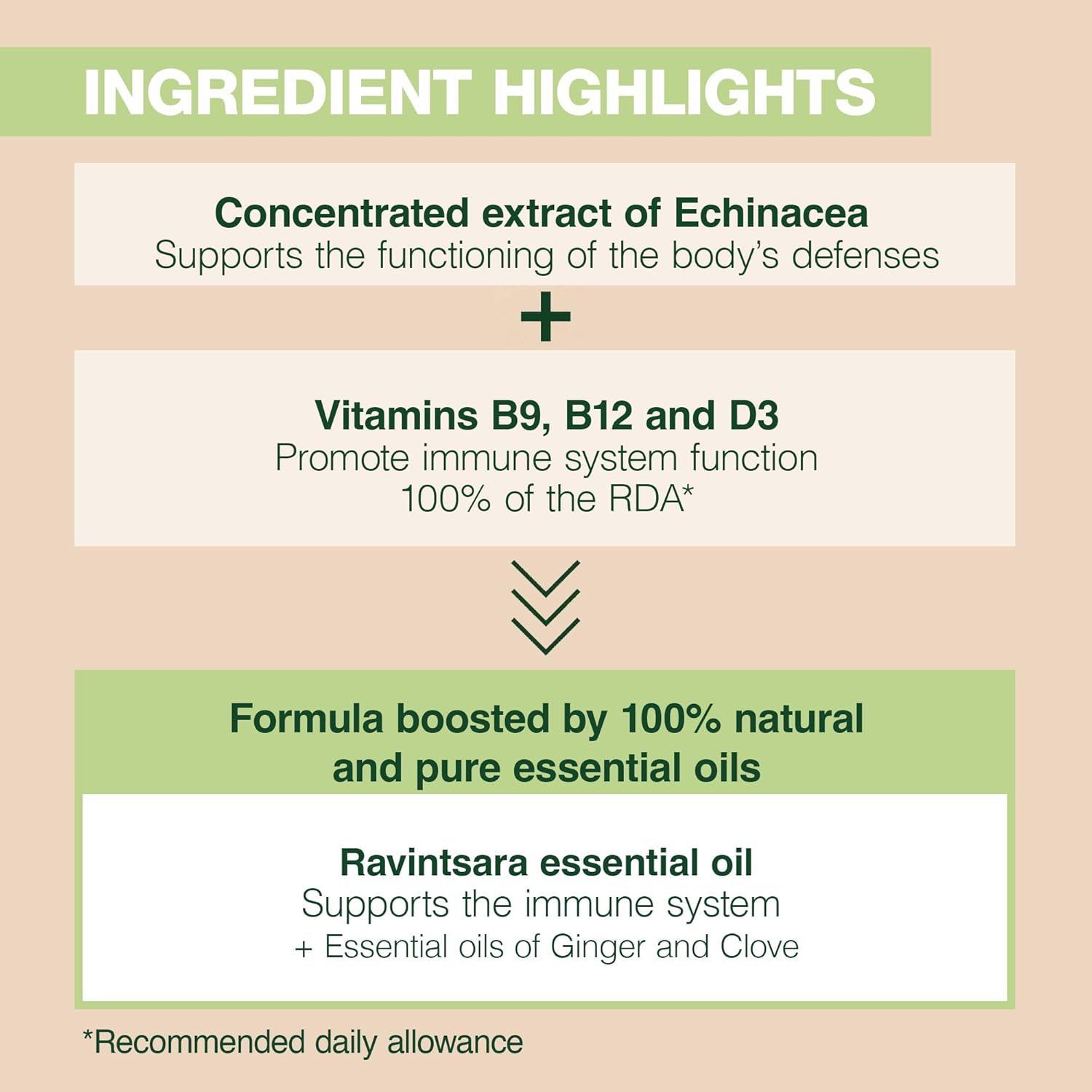 Immune Support Supplement with Black Cumin, Echinacea, Vitamins B9, B12, D3, and Ravintsara Oil - 60 Capsules by Pranarom - Espot.com.au