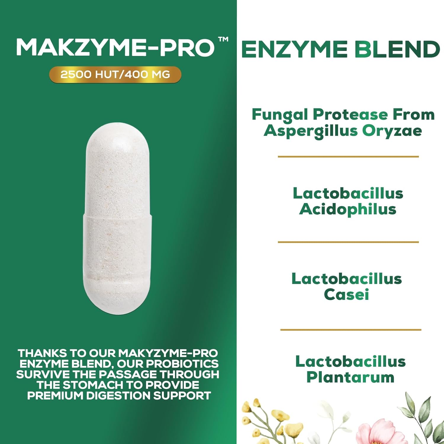 digestive-enzymes-with-probiotics-and-prebiotics-for-gut-health---probiotic-multi-enzymes-for-digestion-and-bloating-relief---120-capsules-for-men-and-women-3