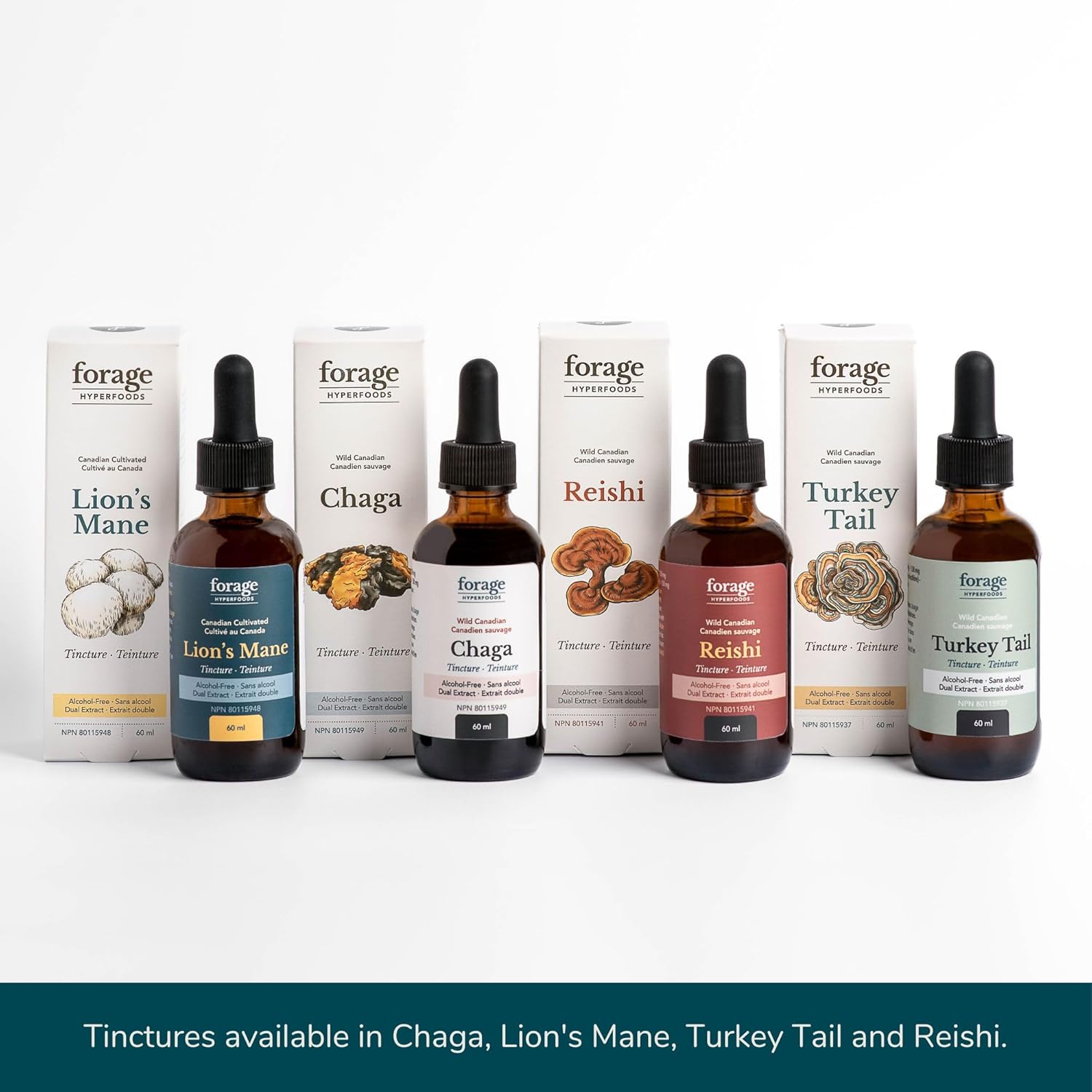 Reishi Mushroom Tincture for Immune Support & Stress Relief - 60 ml Dual Extract, Alcohol-Free Formula by Forage Hyperfoods - Espot.com.au