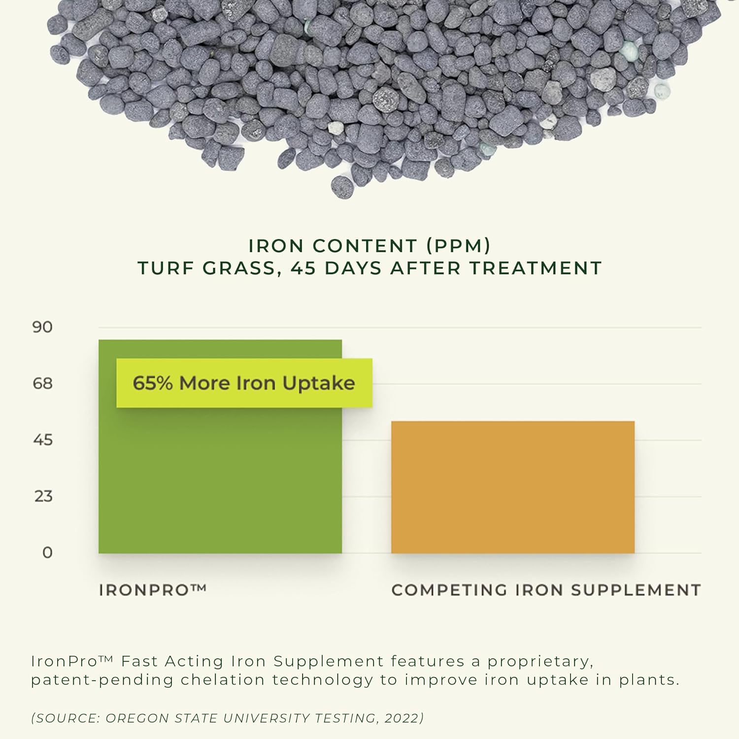 Earth Science Iron Pro Fast Acting Supplement for Lawn & Garden - Deep Green Results for Grass, Flowers, Vegetables, & Shrubs - Non-Staining, Non-Burning Formula - Covers 1K Sq. Ft. - Espot.com.au