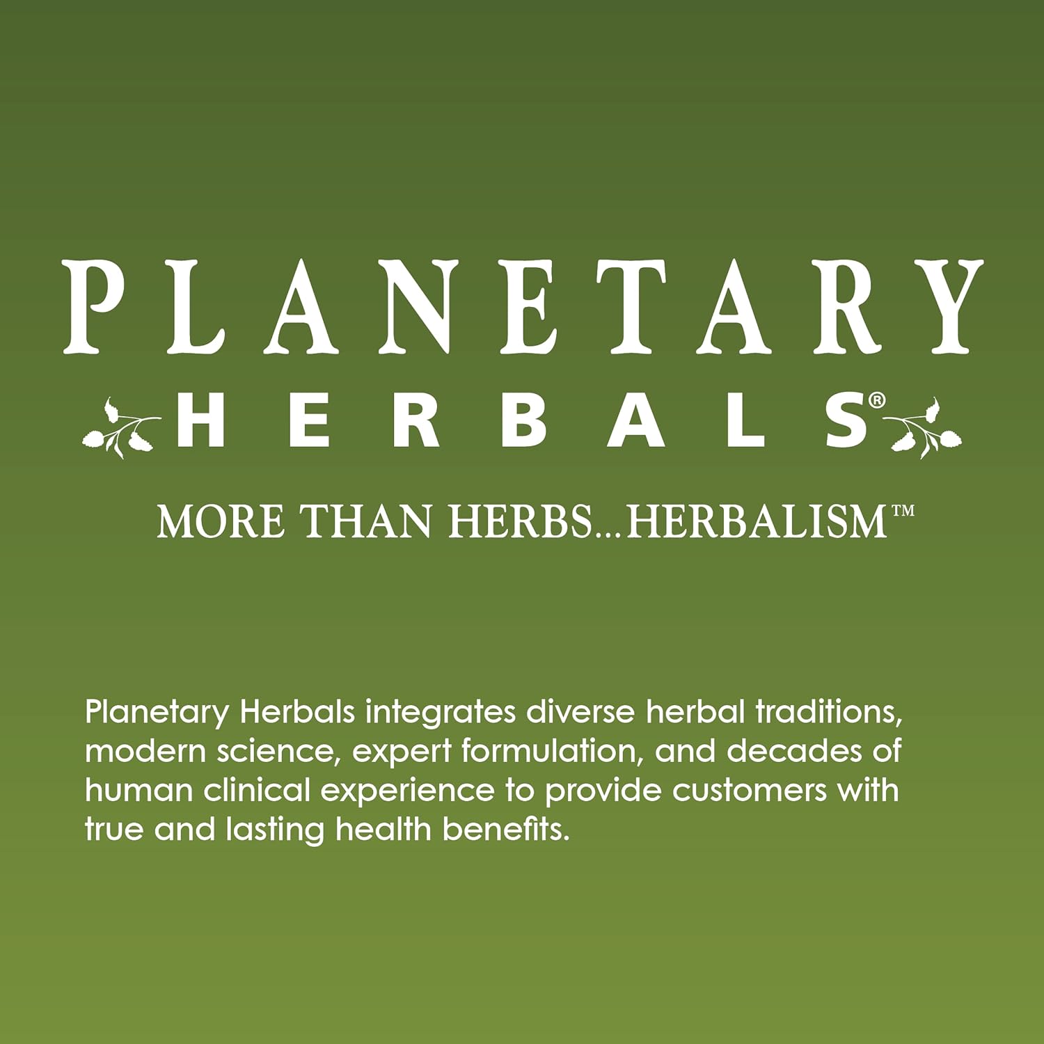 planetary-herbals-ginkgo-awareness-tablets---natural-ginkgo-biloba-supplement-for-cognitive-support---120-count-4