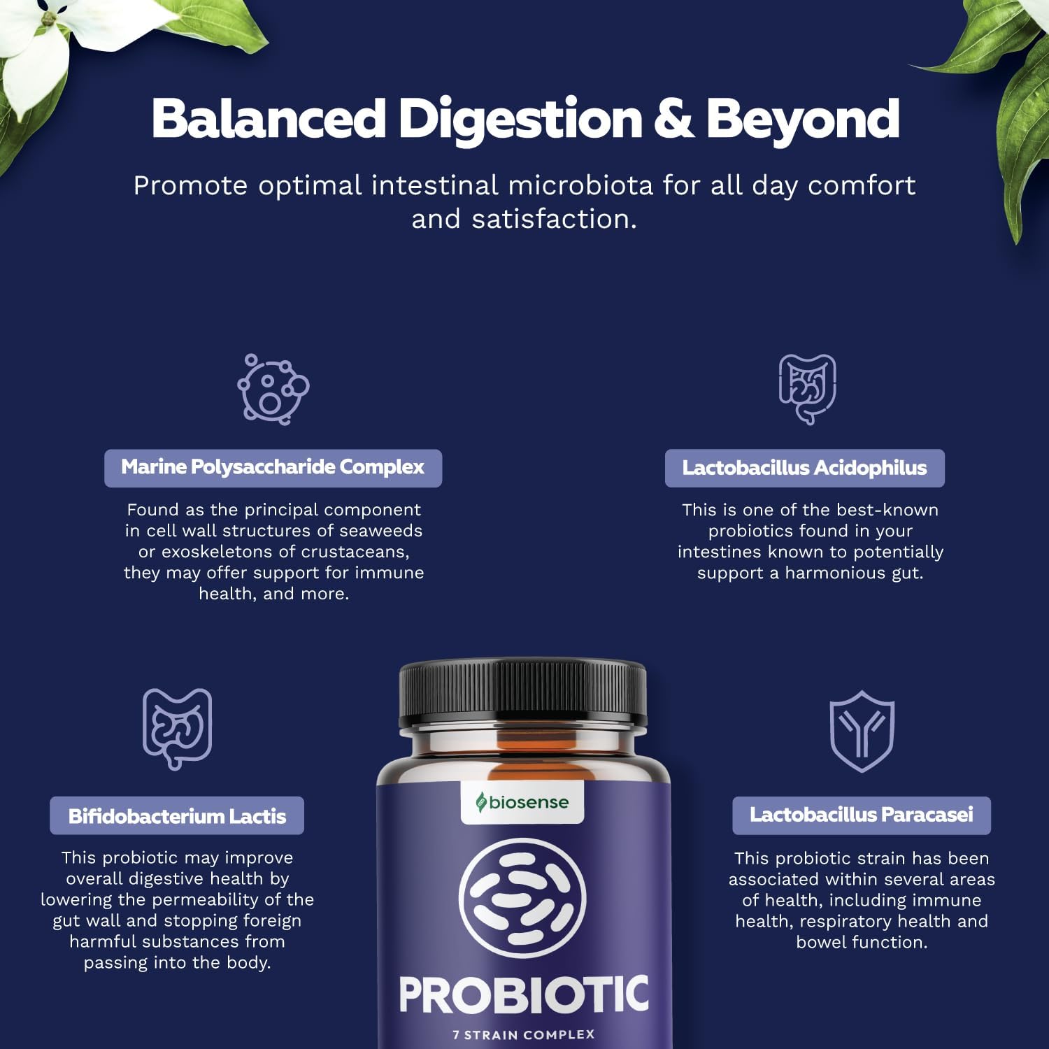 Advanced Acidophilus Probiotic Supplement for Gut Health - Daily Probiotic Immune Support for pH Balance and Digestive Relief - Bio Sense Probiotics with Prebiotics for Upset Stomach - Espot.com.au
