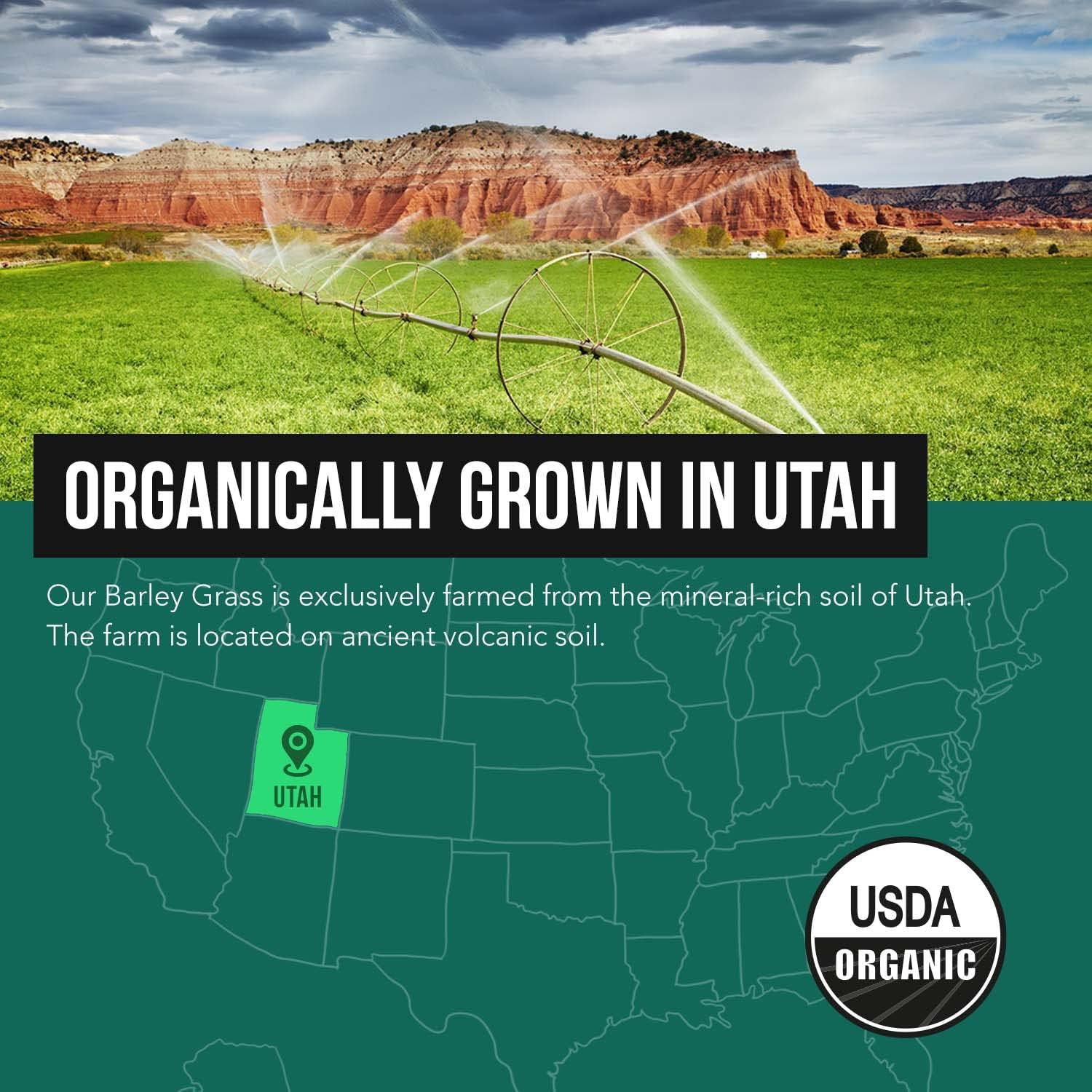organic-barley-grass-juice-powder---grown-in-utah-volcanic-soil---raw-bioactive---co2-dried---gluten-free-gmo-free-vegan---53-oz---wheatgrass-juice-powder-alternative-6