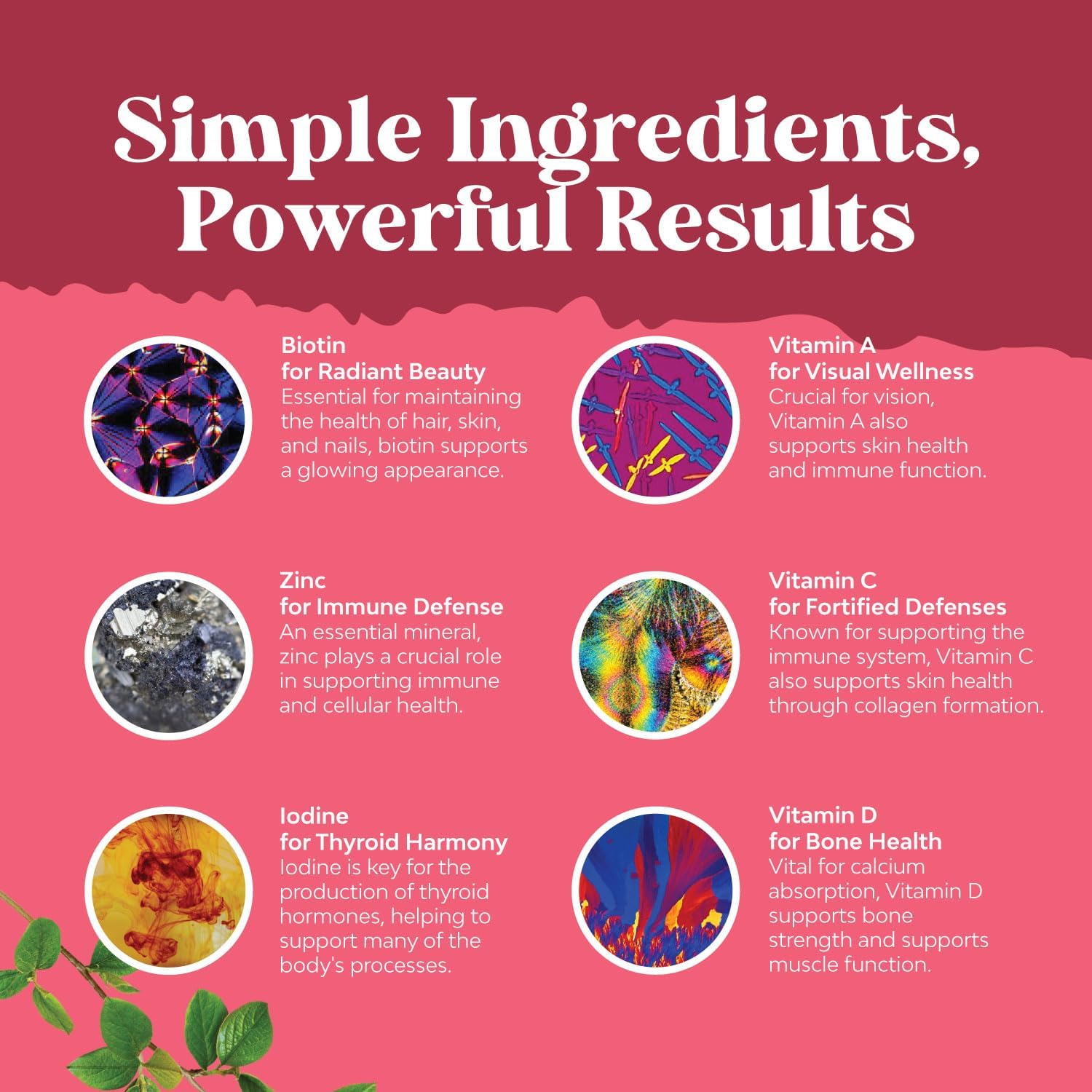 Vitamin D3 and Multivitamin Gummies Bundle for Daily Wellness, Bone & Muscle Support, Energy, and Immunity - Delicious Women's Daily Supplement - Espot.com.au
