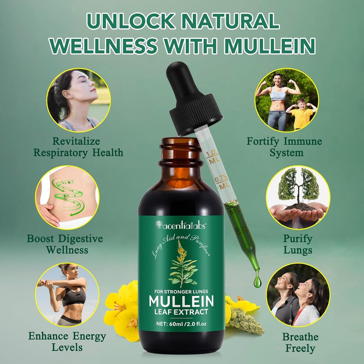 mullein-leaf-extract-drops---2-fl-oz---natural-lung-cleanse-respiratory-support---boosts-immunity-digestive-wellness---chlorophyll-supplement-2