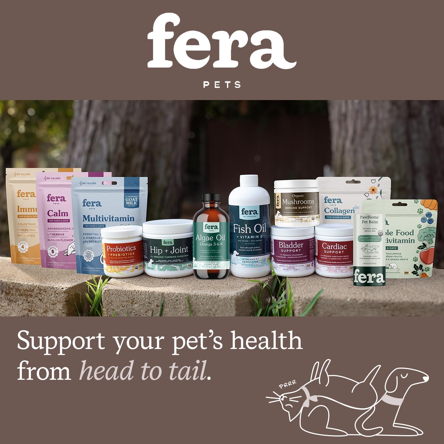 pet-liver-support-supplement-for-dogs-cats---vet-formulated-liver-detox-support---milk-thistle-zinc-choline-more---60-scoops-6
