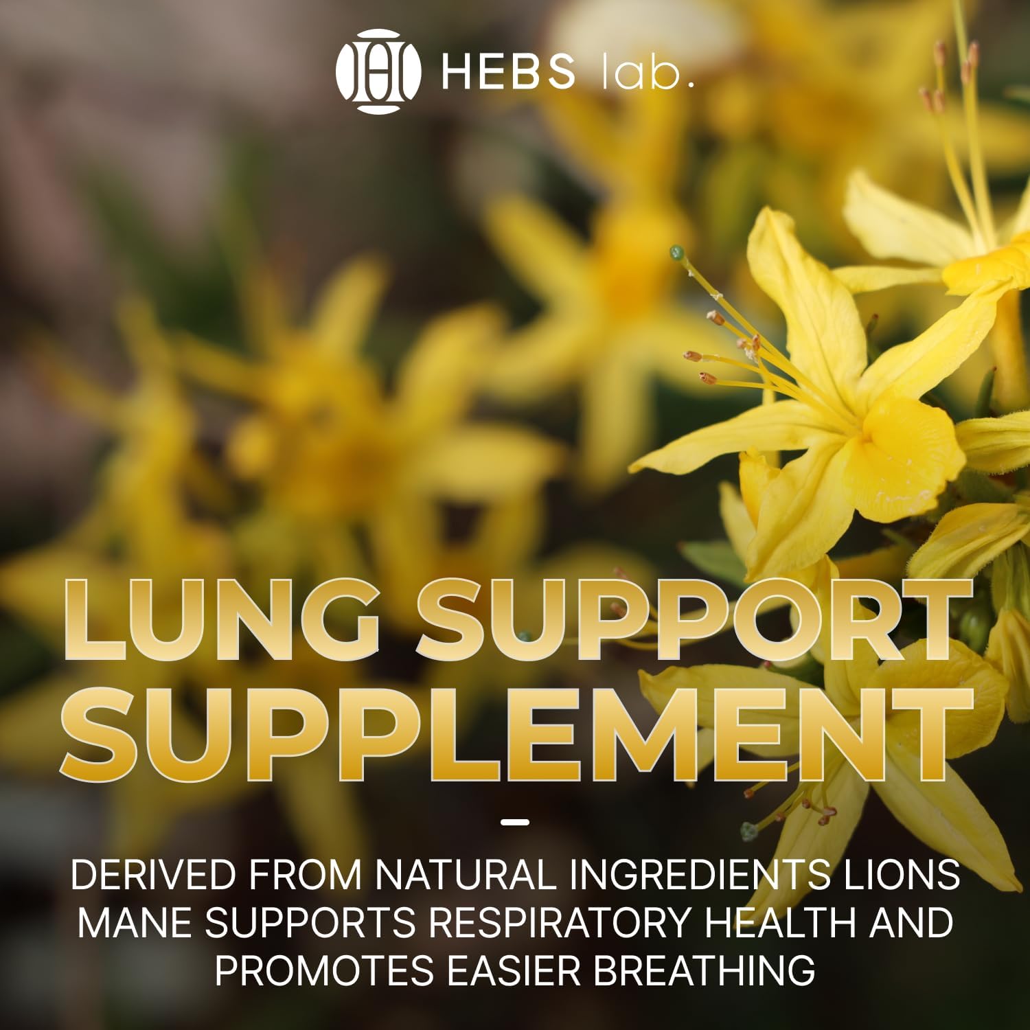 mullein-leaf-extract-tincture-for-lung-health---herbal-lung-support-drops---usa-made-respiratory-supplement---4-fl-oz-bottle-7
