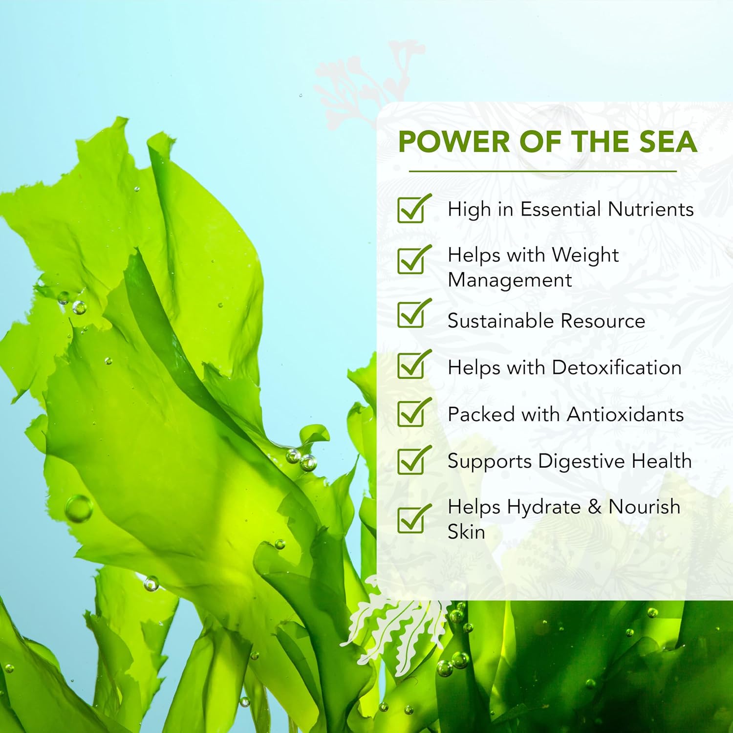 organic-sea-lettuce-dried-seaweed-flakes---wild-north-atlantic-seaweed-for-snacking-seasoning-soups-salads---rich-in-vitamins-minerals-aminos-antioxidants---thyroid-support---4-oz-3