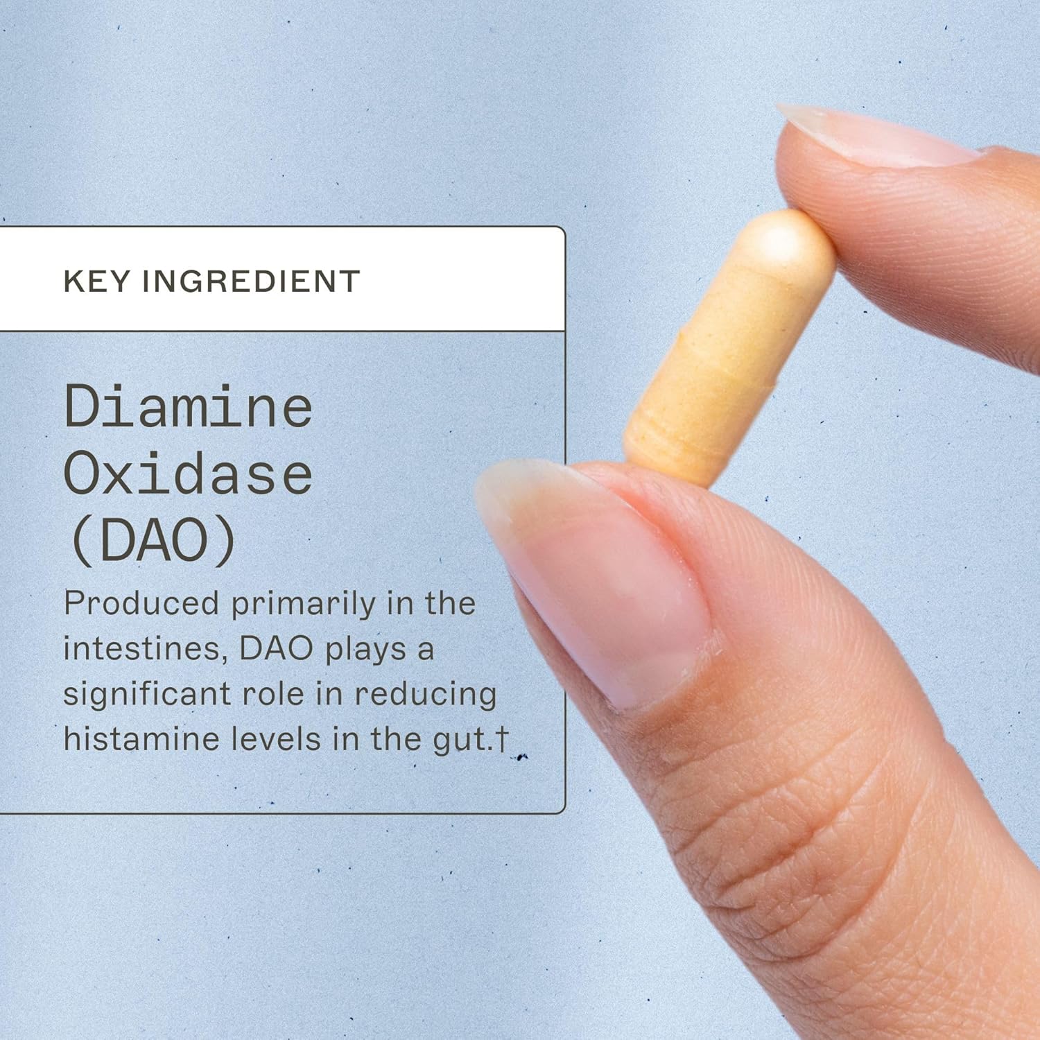 histazyme-diamine-oxidase-dao-enzyme-supplement---supports-healthy-digestion-histamine-intolerance---60-capsules-3
