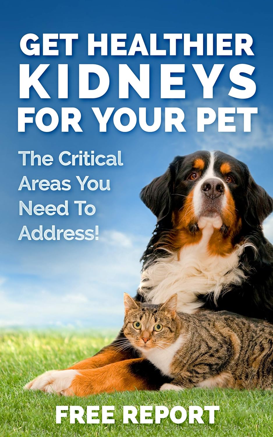 Pet Kidney Support Supplements for Cats and Dogs, Natural Renal Health Aid for Feline and Canine Urinary Tract Function, Easy to Add to Pets' Food for Optimal Health - Espot.com.au