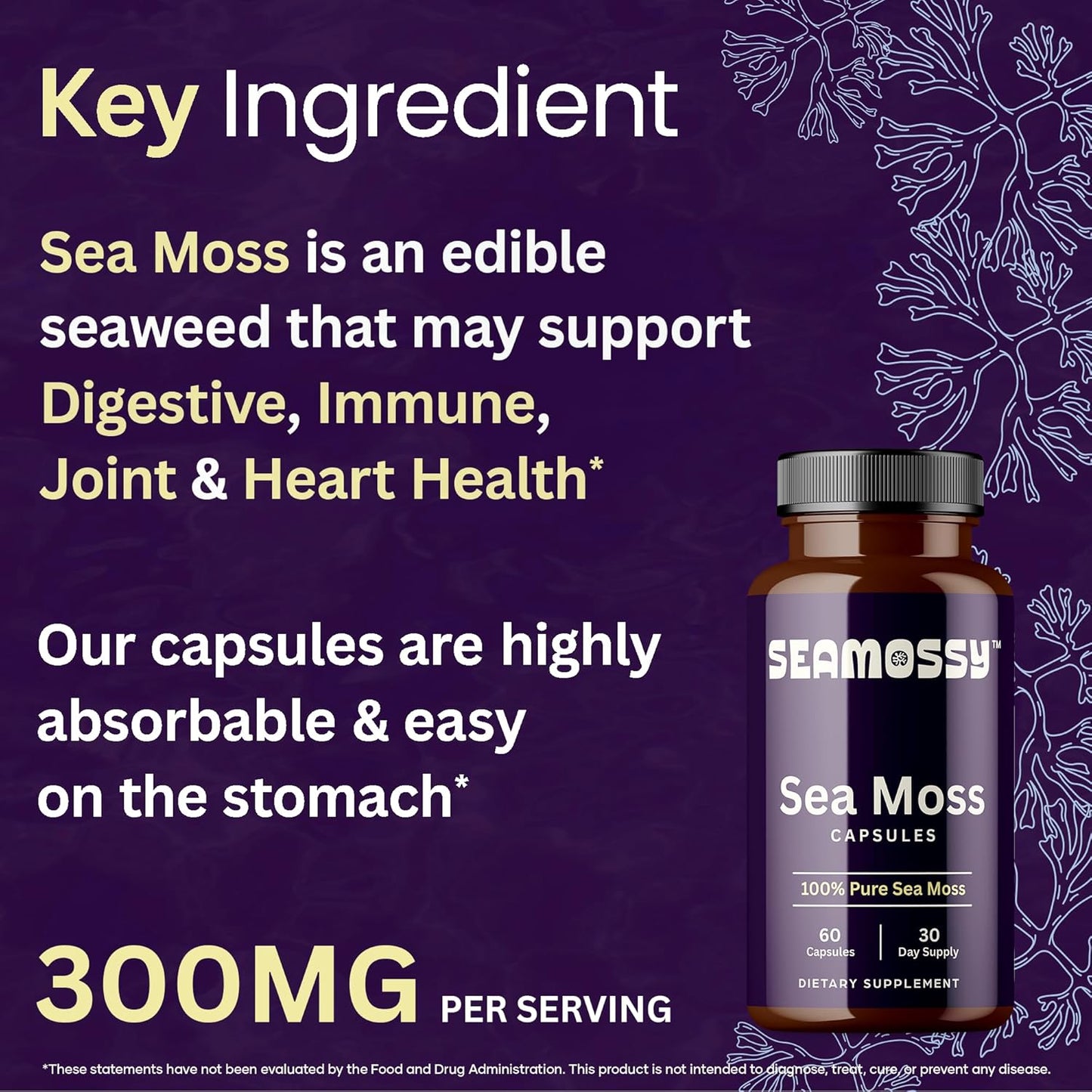 organic-seamossy-sea-moss-supplement-capsules---100-pure-300mg-powder---60-count-3