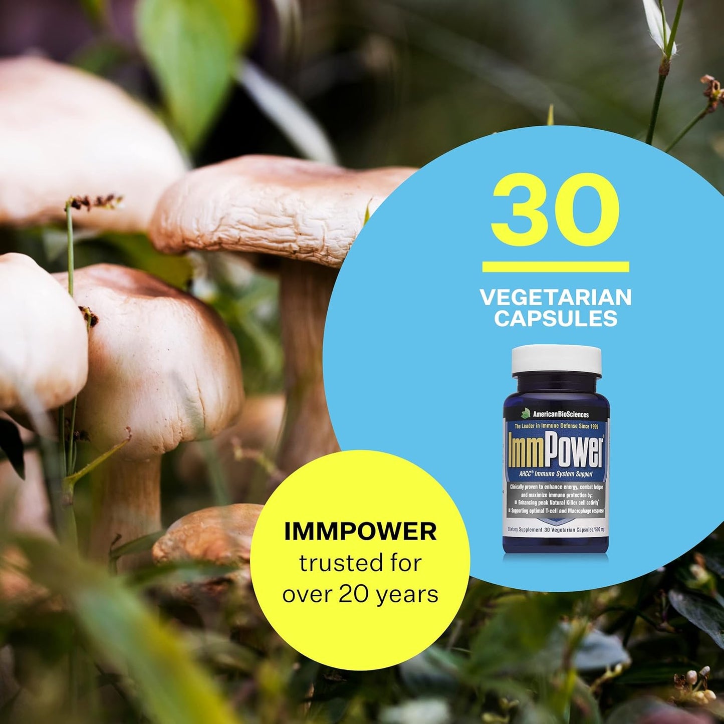 immpower-ahcc-mushroom-extract-immune-system-support-30-vegetarian-capsules---supports-cytokine-function---500mgcapsule---immune-support-supplement-for-adults-by-american-biosciences-3