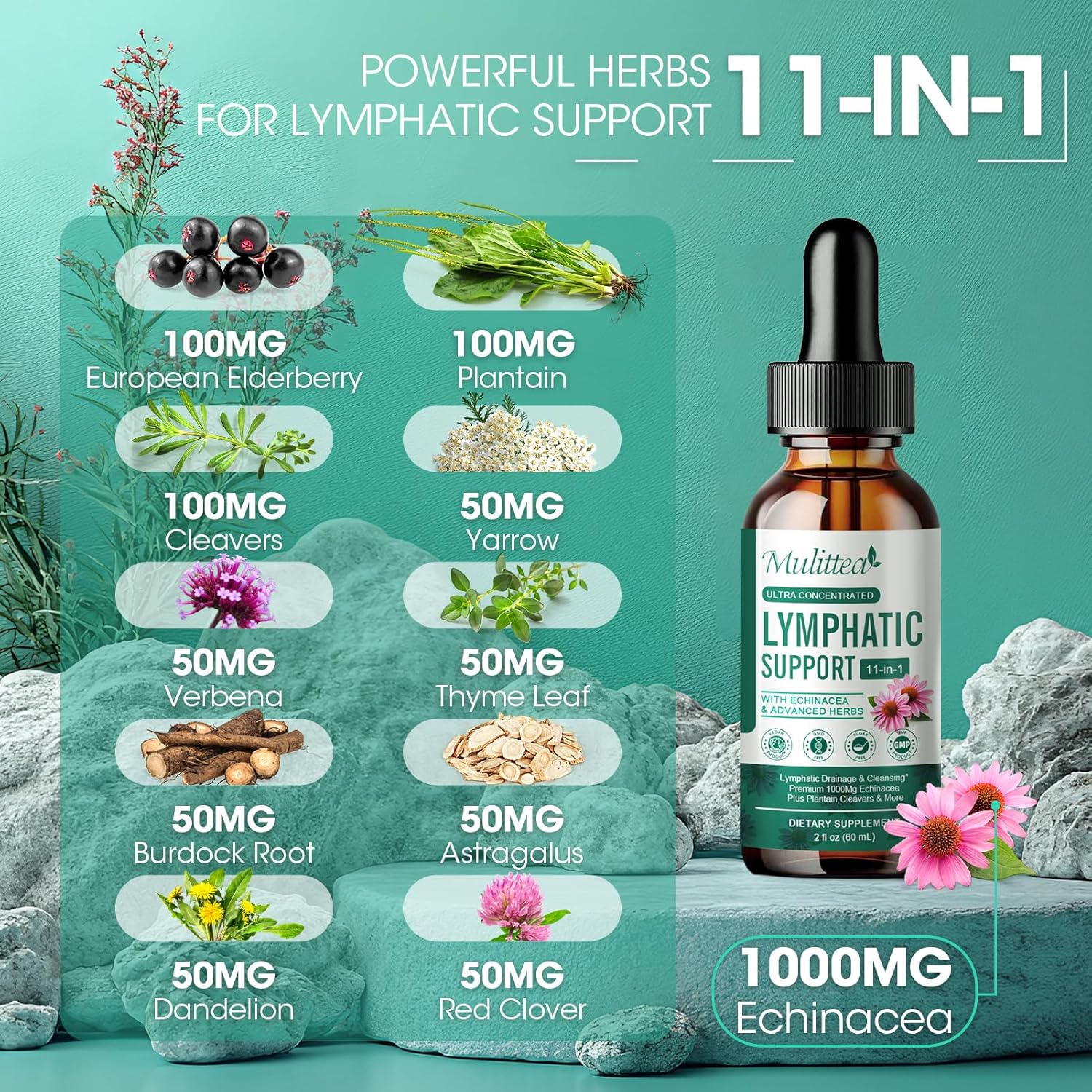 vegan-11-in-1-lymphatic-drainage-drops-with-echinacea-cleavers-elderberry---60-servings---non-gmo-detox-cleanse-support-3
