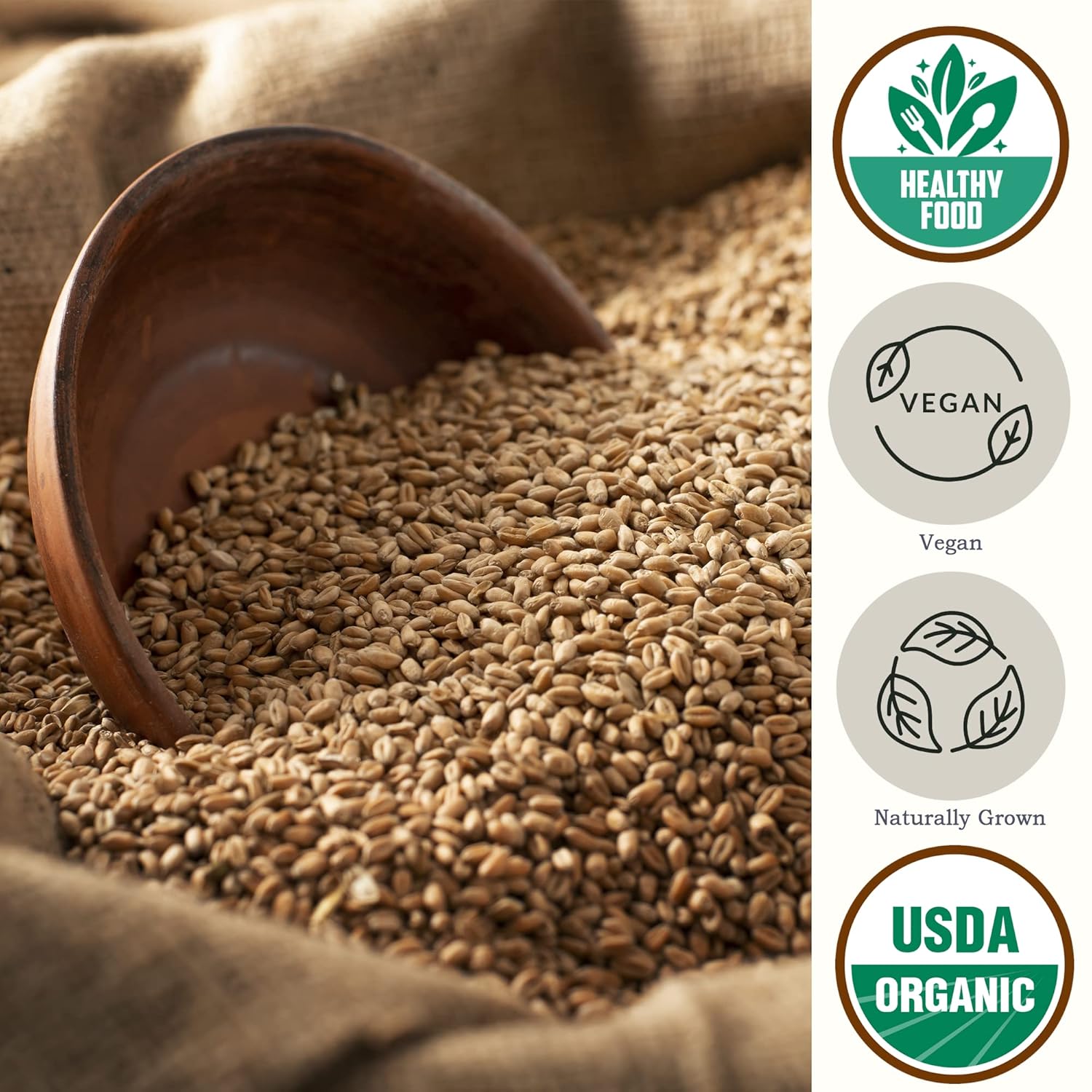organic-hard-white-wheat-berries-bulk---high-protein-fiber---ideal-for-baking-cooking---usda-certified---non-gmo---58-lb-pack-2