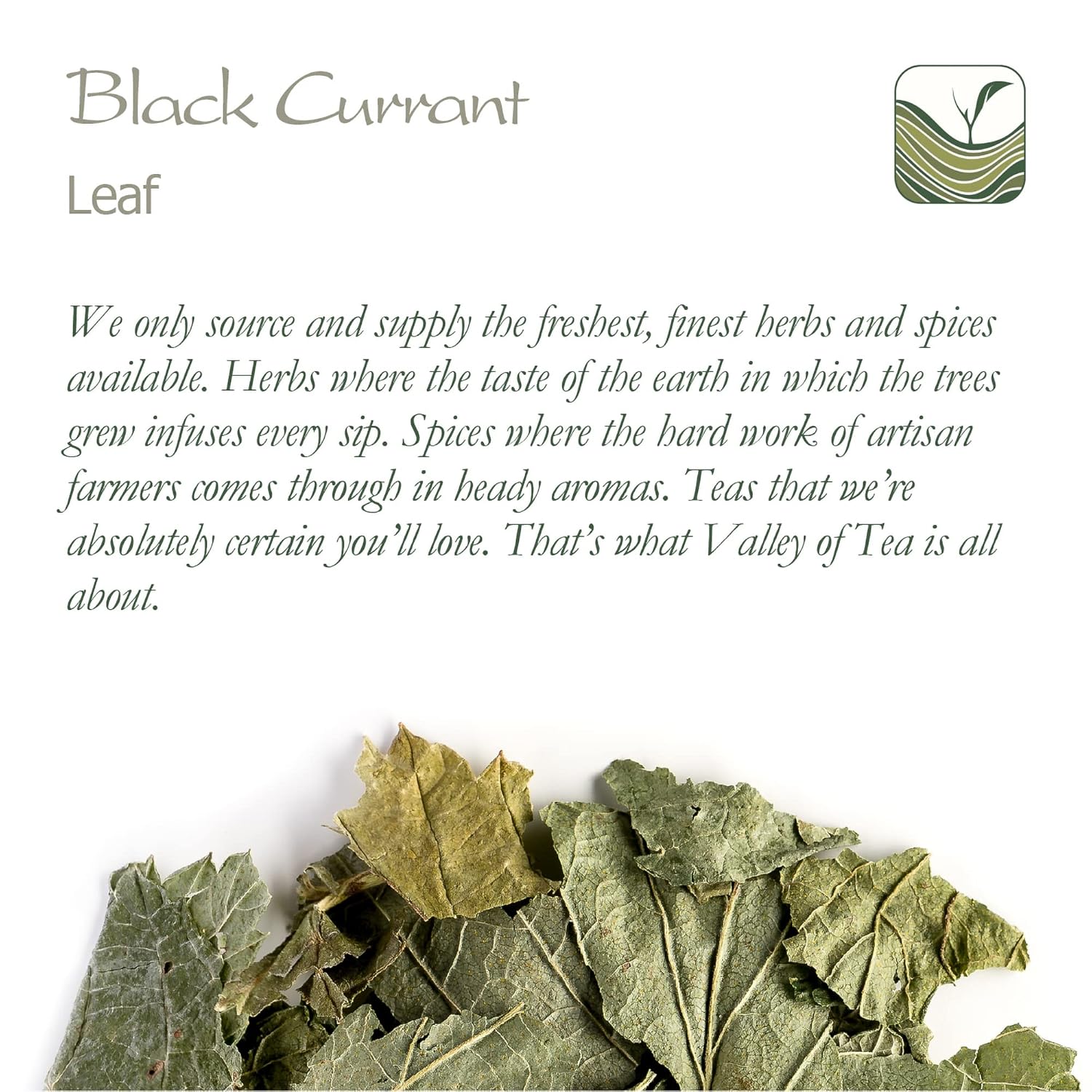 Organic Black Currant Leaf Tea - Perfect Pairing for Desserts - Ribes Nigrum Valley Tea - Espot.com.au