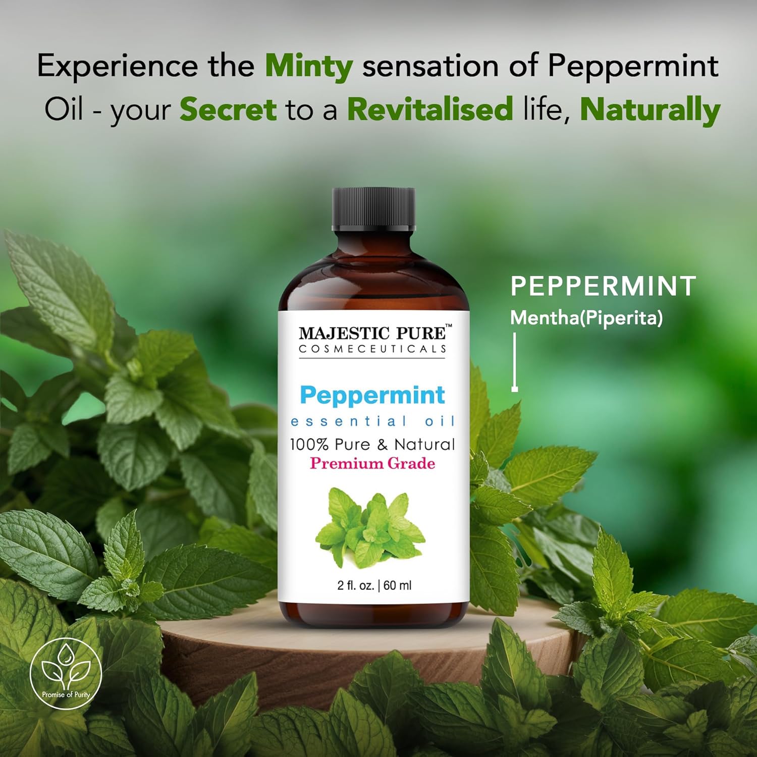 premium-grade-100-pure-peppermint-essential-oil-with-glass-dropper---2-fl-oz---ideal-for-diffusers-skin-aromatherapy-massage---natural-and-majestic-pure-5
