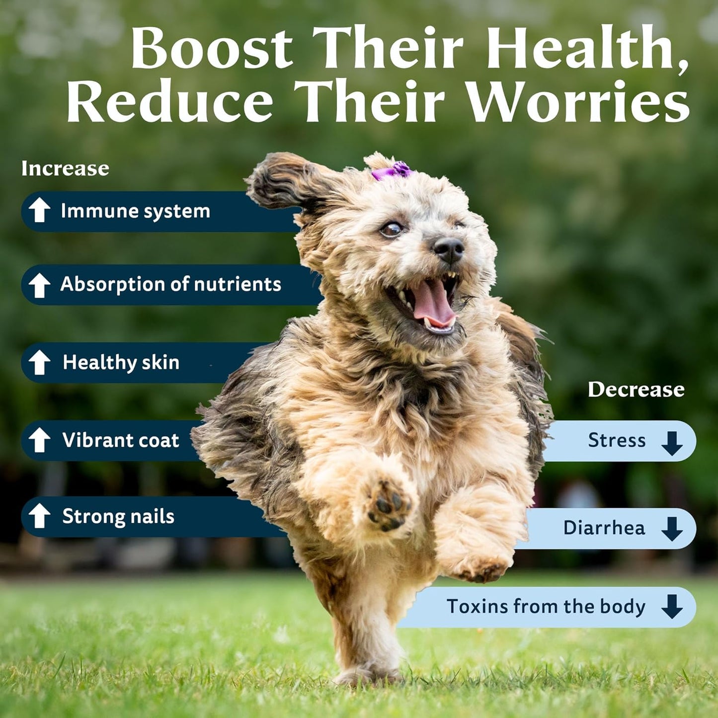 natural-zeotex-zeolite-powder-bundle-2-pack-for-full-body-detox-immune-support---100-pure-detoxifier-for-liver-kidney-skin-pet-health---350g-x-2-5