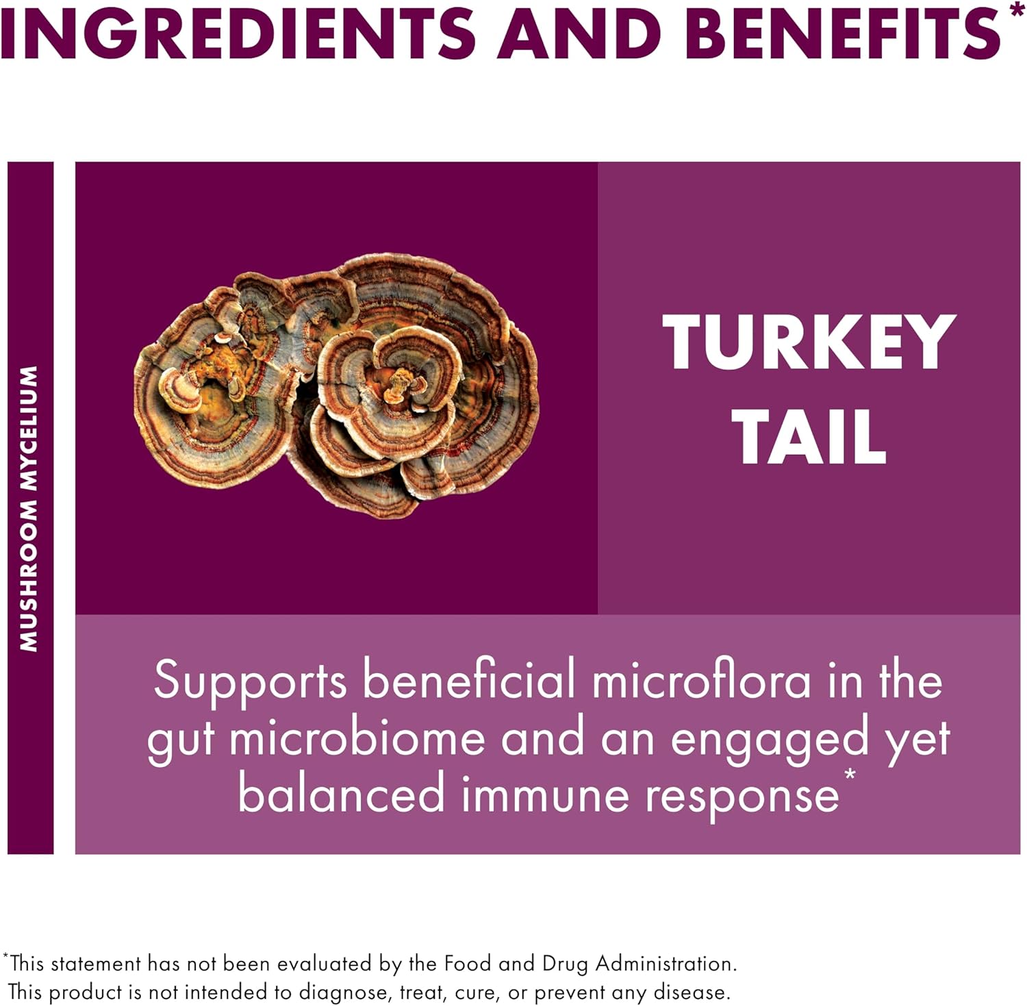 turkey-tail-mushroom-capsules-for-digestive-health-immune-support---120-capsules---gut-microbiome-supplement---host-defense-mushroom-supplement-4