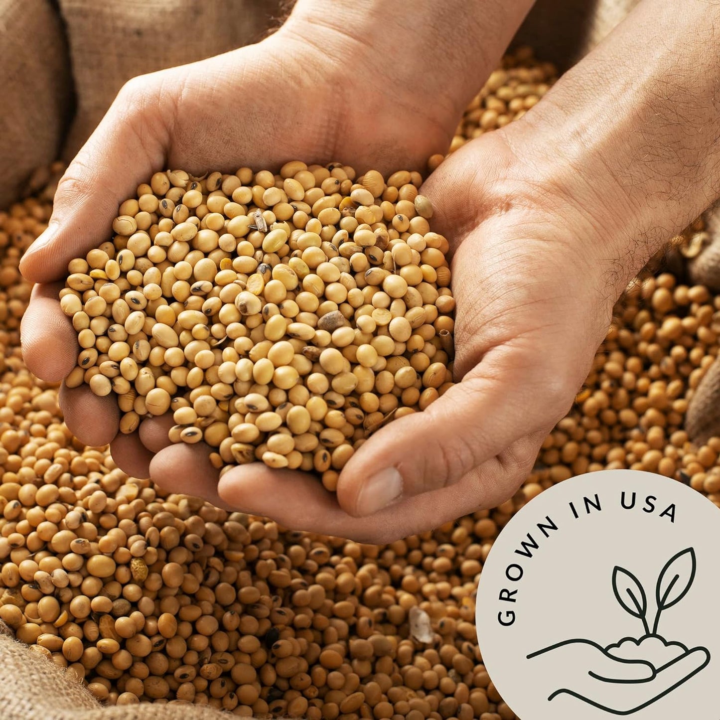 organic-soybeans-bulk-48-lb---premium-soy-beans-dry-for-edamame-soy-milk-tofu---high-protein-fiber---usa-grown-usda-certified---vegan-non-gmo-gluten-free-4
