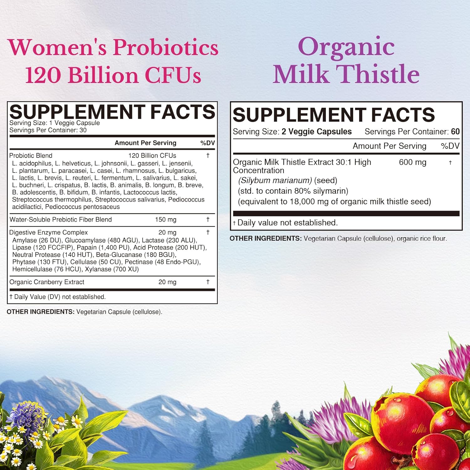 womens-probiotic-milk-thistle-bundle---120-billion-probiotics-organic-milk-thistle---digestive-womens-health-support---shelf-stable-detox---pack-of-2-2