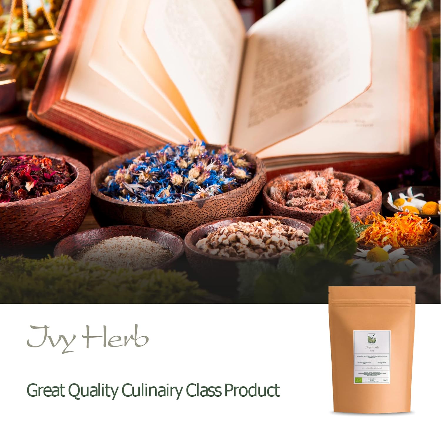 Organic Ground Ivy Tea - Premium Quality Catsfoot Herbal Tea - Glechoma Hederacea Ivy Herb Tea - Valley of Tea Blend - Espot.com.au