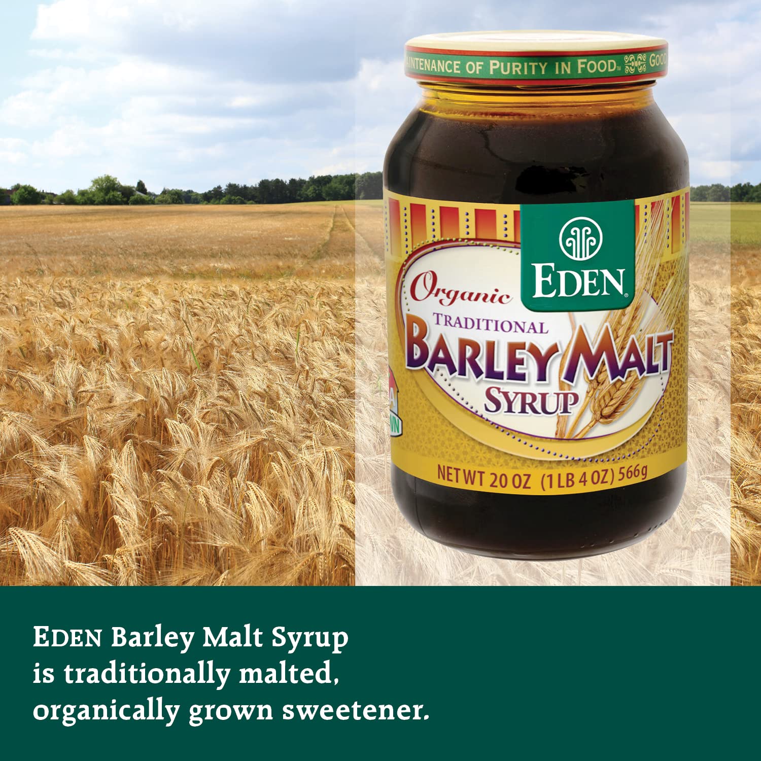eden-organic-barley-malt-syrup---whole-grain-liquid-sweetener-745-maltose-non-diastatic-ideal-for-bagels-non-gmo---20-oz-jar-4