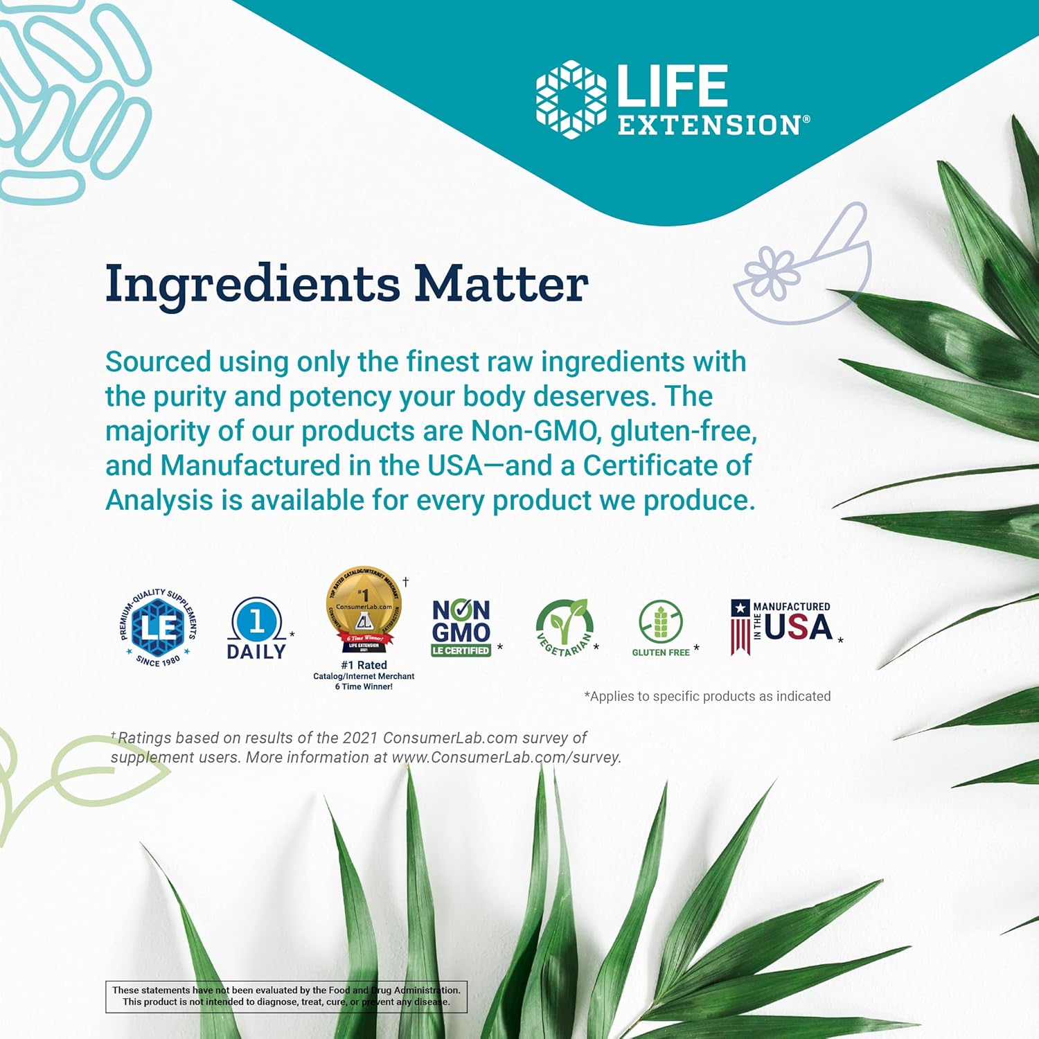 mushroom-immune-support-supplement-with-beta-glucans-for-longevity-8