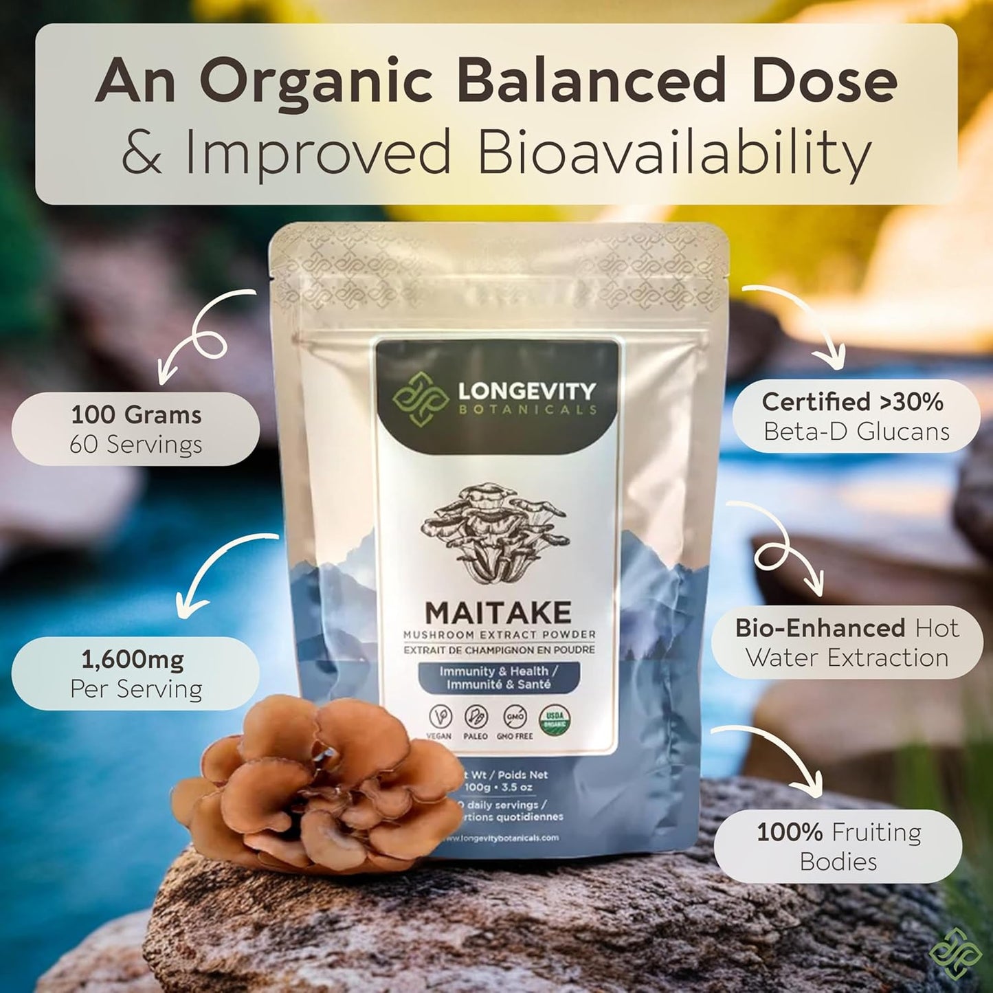 organic-maitake-mushroom-powder---ultra-concentrated-extract-for-balanced-immune-system---100-fruiting-body---100g-4