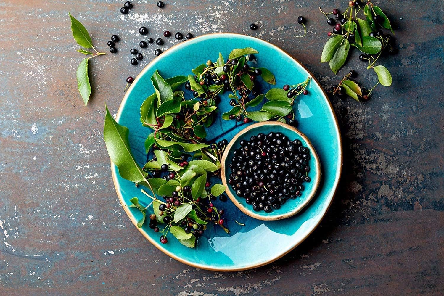Organic Maqui Berry Powder 8oz - Non-GMO Raw Vegan Superfood with Iron, Fiber & Antioxidants for Juices, Drinks, Smoothies - No Added Sugar - Bulk Size by Food to Live - Espot.com.au
