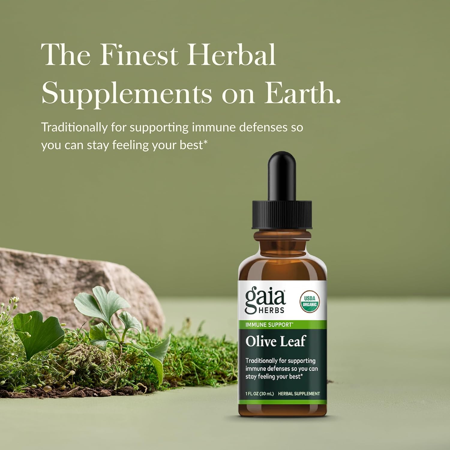 organic-gaia-herbs-olive-leaf-liquid-extract---1-fluid-ounce-bottle-for-immune-support-and-antioxidant-benefits-3