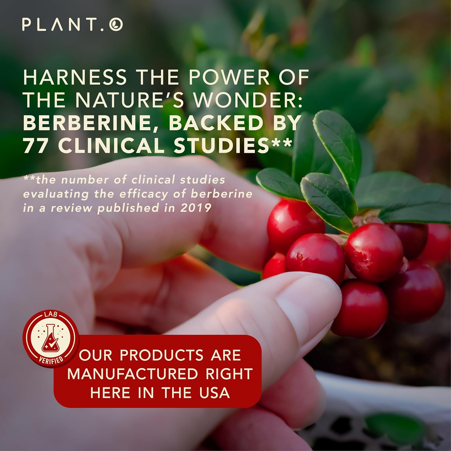 planto-nutrition-berberine-supplement---1250mg-extra-strength-complex-with-bitter-lemon-banaba-leaf---non-gmo-immune-support-antioxidant---60-capsules-5