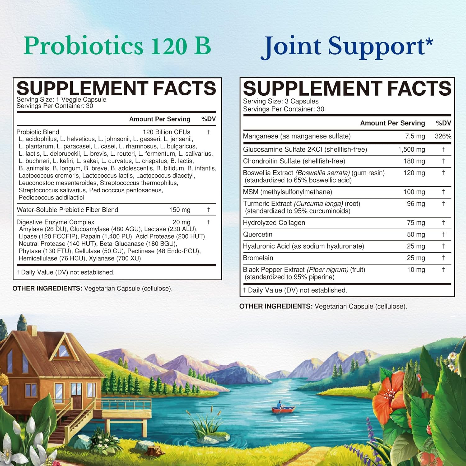 bundle-of-vitalitown-probiotic-and-glucosamine-chondroitin-msm-120-billion-cfus-probiotics-joint-support-30-probiotic-capsules-90-joint-capsules-2