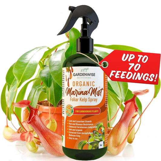 organic-liquid-kelp-foliar-spray-for-carnivorous-plants---100-natural-fertilizer-for-venus-flytraps-sundew-butterworts-pitcher-plants---8-oz-bottle-1