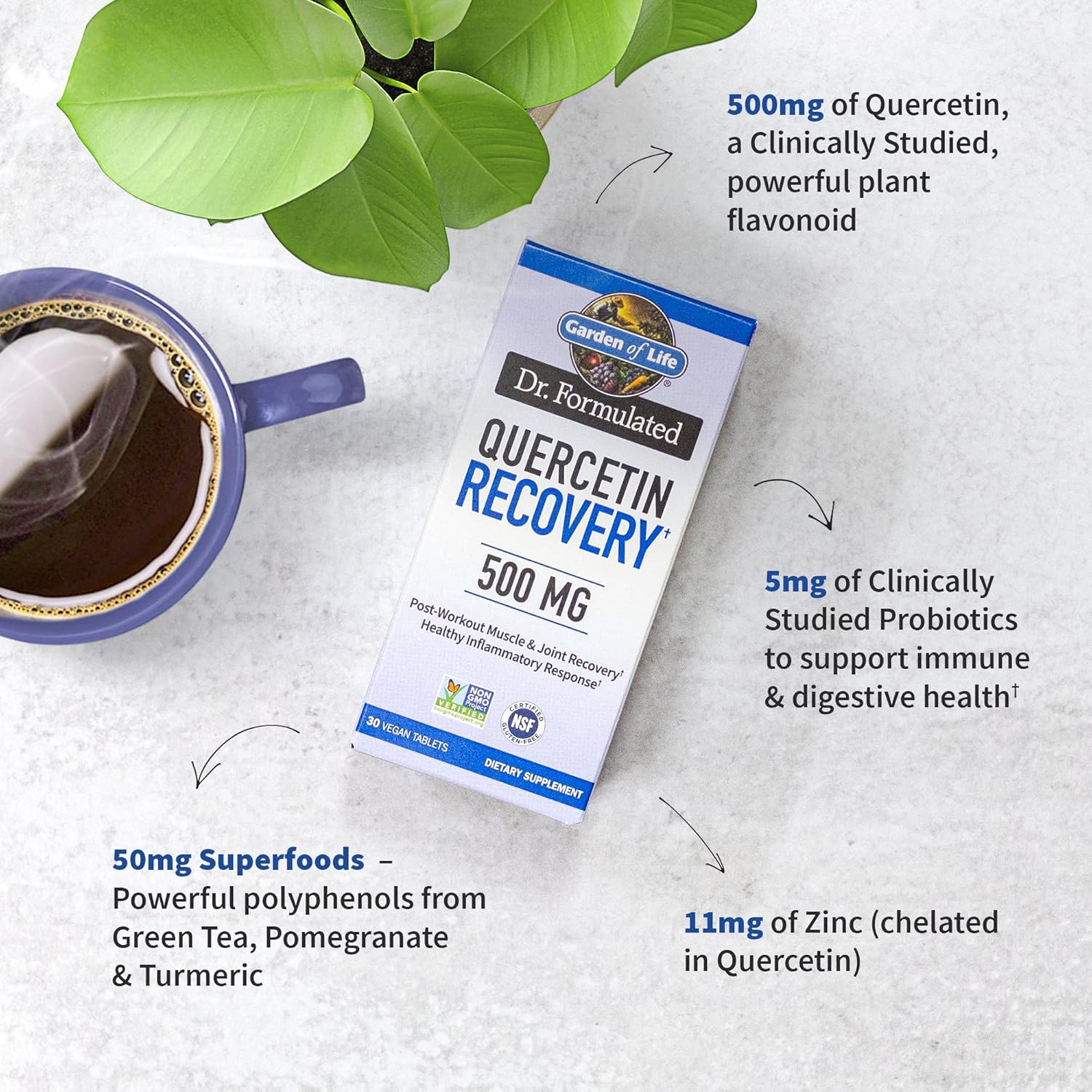 dr-formulated-garden-of-life-quercetin-post-workout-recovery-tablets-with-zinc-turmeric-green-tea-for-healthy-inflammatory-response-joint-support---gluten-free-non-gmo---30-count-2