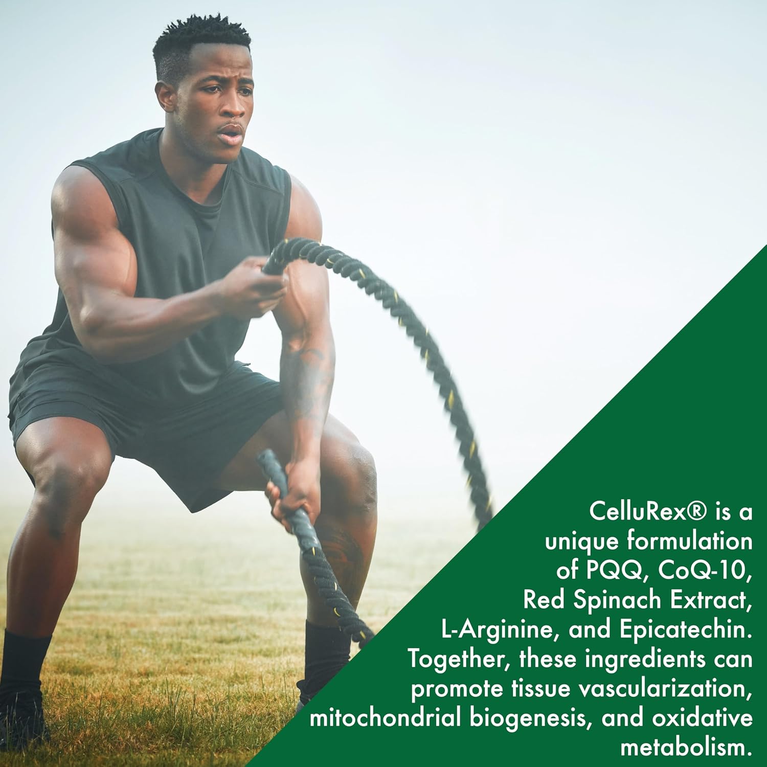 cellular-optimizer-supplement-with-coq-10-pqq-more-for-brain-health-and-energy-support-vegan-formula-non-gmo-60-pack-7