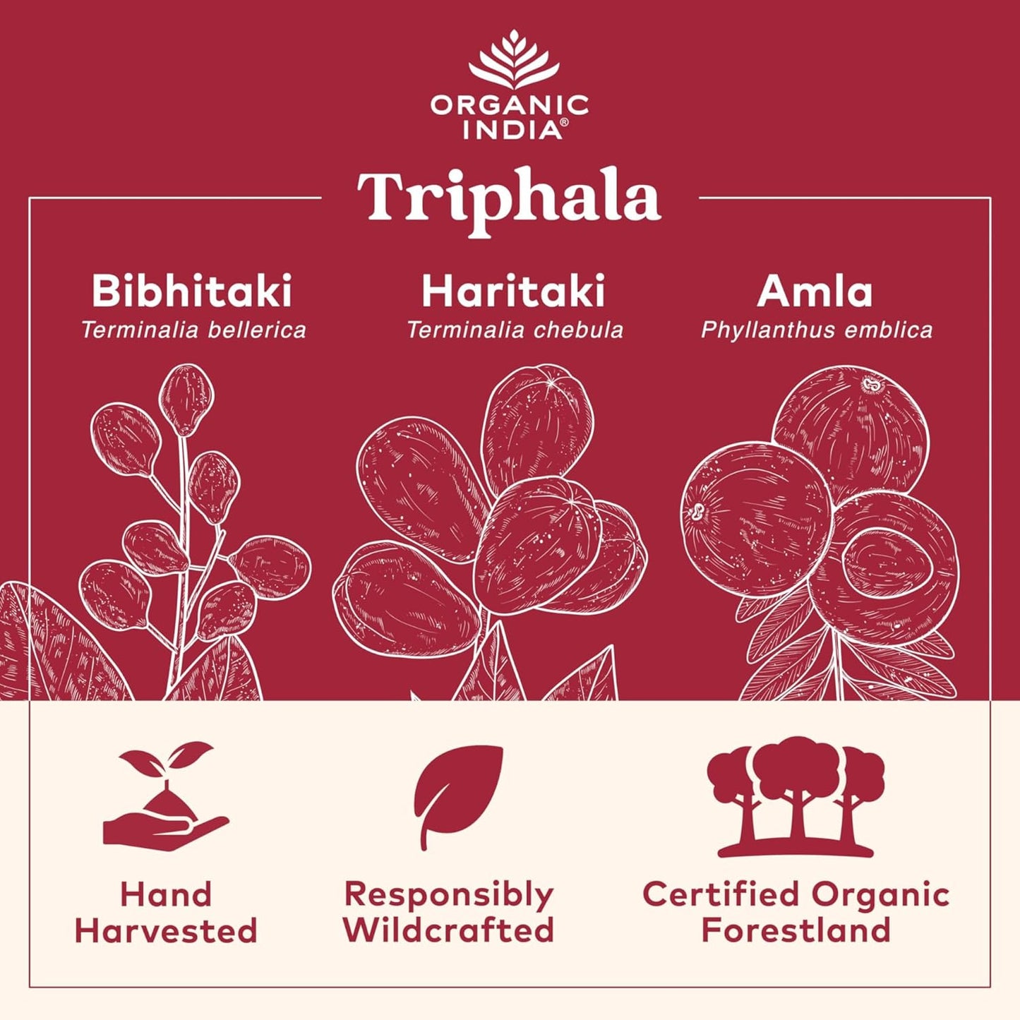 usda-certified-organic-triphala-capsules-with-amla-bibhitaki-haritaki---herbal-supplement-for-digestion-colon-immune-system-support---vegan---90-capsules-4