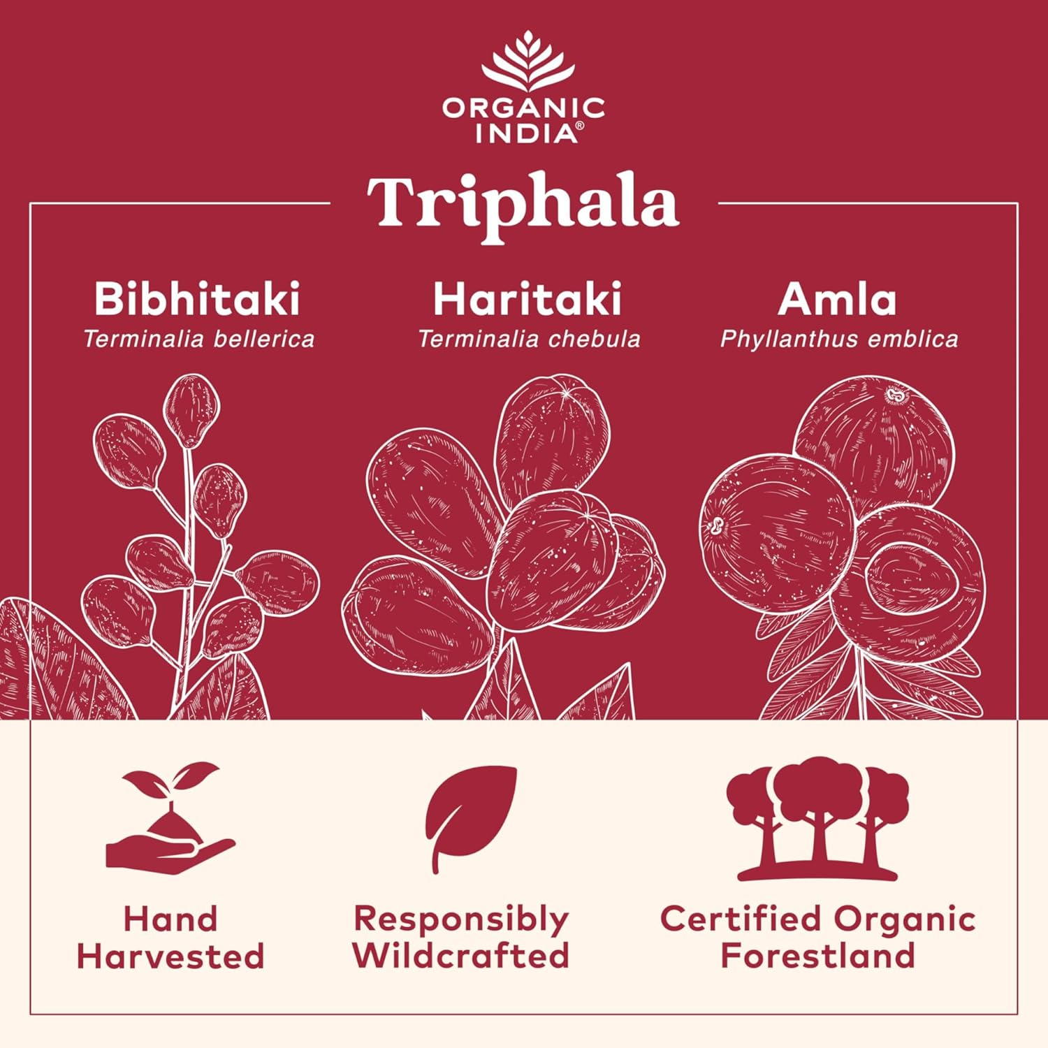 usda-certified-organic-triphala-capsules-with-amla-bibhitaki-haritaki---herbal-supplement-for-digestion-colon-immune-system-support---vegan---90-capsules-4