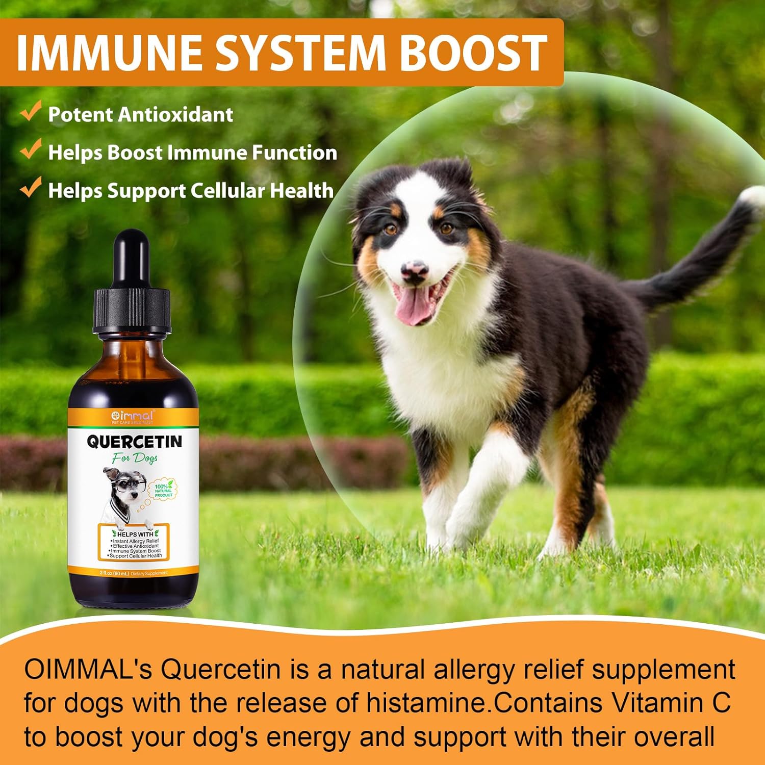 quercetin-supplement-with-vitamin-c-for-dogs-allergy-relief-immune-support-anti-itch-formula-for-dogs-6