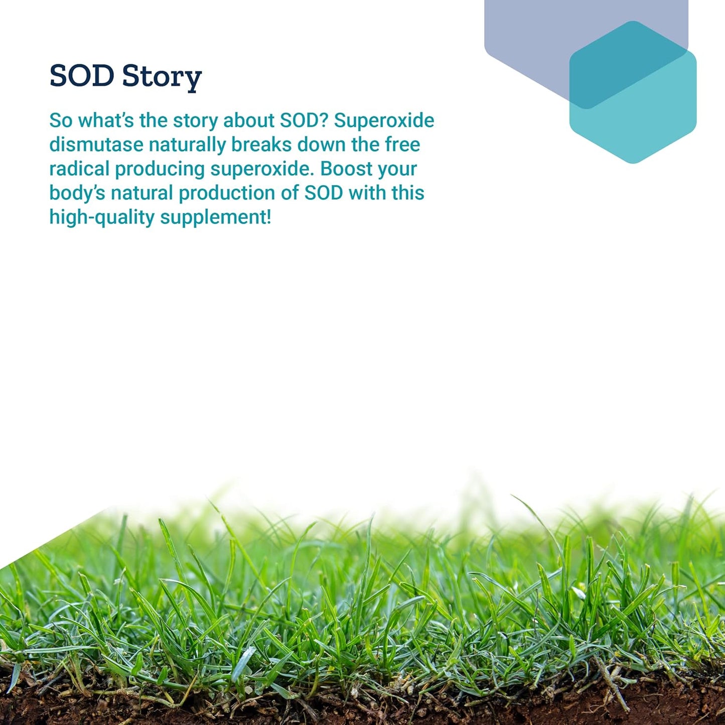 antioxidant-liver-detox-supplement-with-sod-booster-chokeberry-extract-melon---gluten-free-non-gmo-vegetarian---30-capsules-7