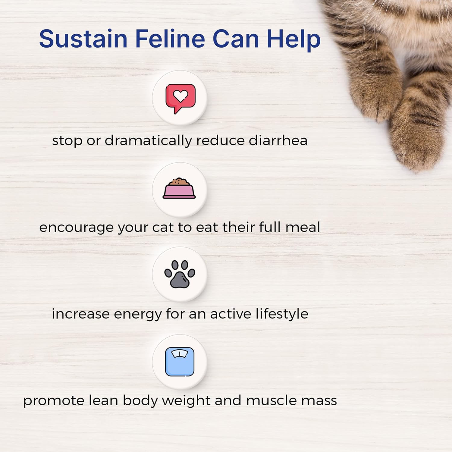 nutritious-emeraid-sustain-cat-recovery-food---400g-size-for-felines-in-need-of-support-5