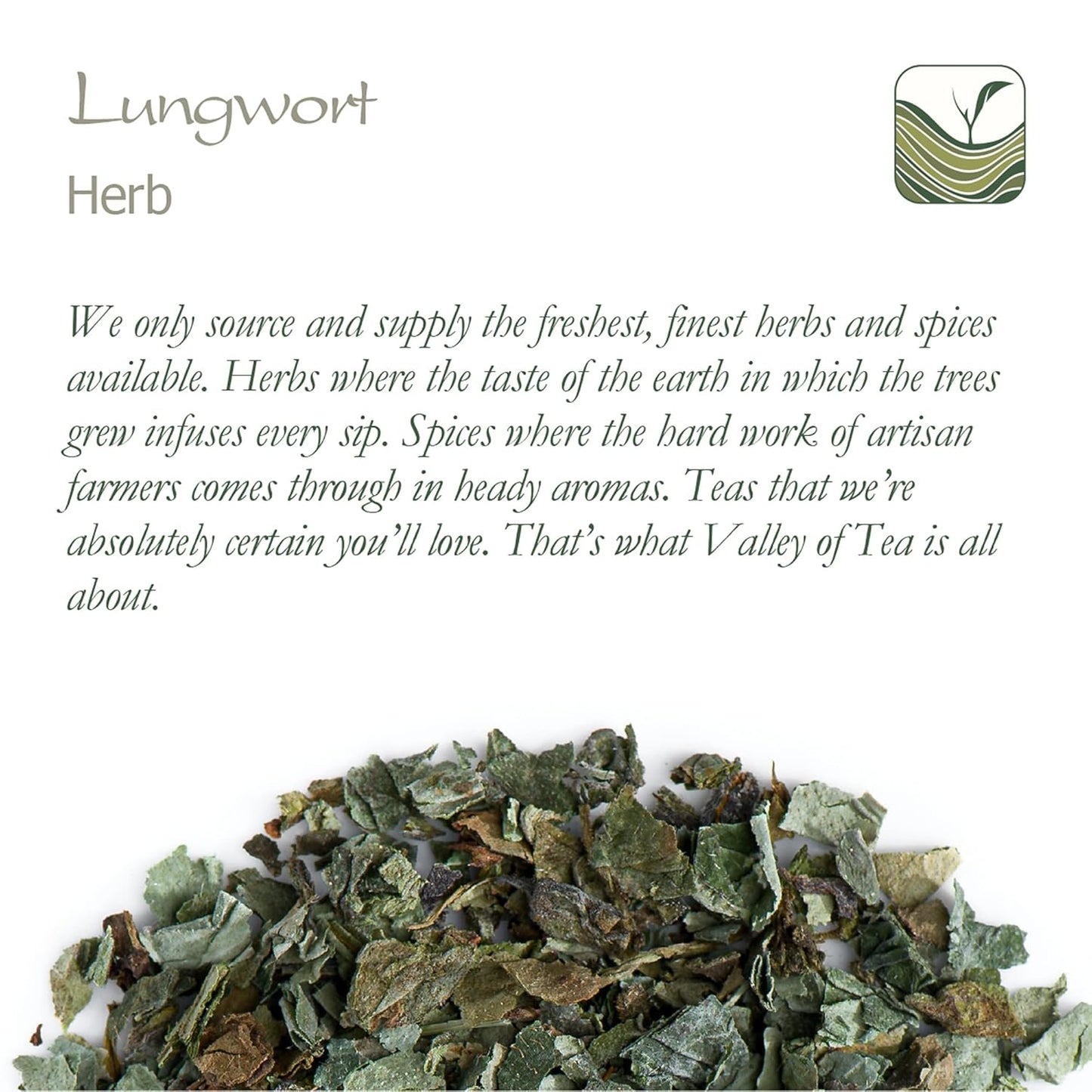 organic-valley-lungwort-herb-tea---pulmonaria-officinalis-l---lungwort-tea-for-respiratory-health-6