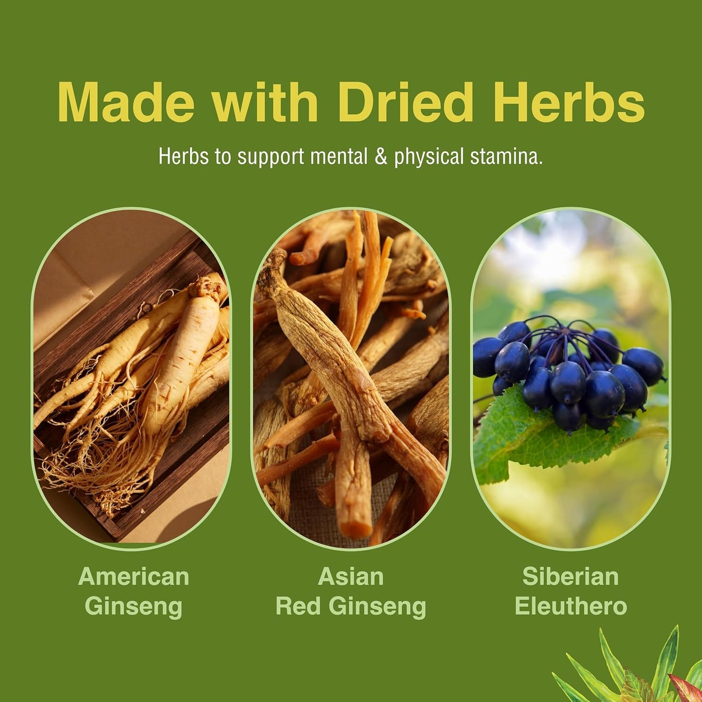 ultimate-ginseng-softgels-for-continuous-physical-activity-brain-health---daily-stamina-support---gluten-free---30-softgels-5
