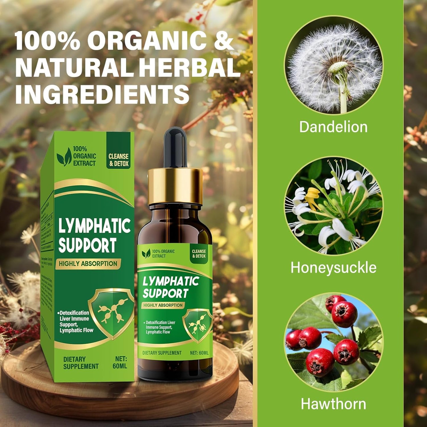 herbal-lymphatic-support-drops-with-echinacea-red-clover-extract---liquid-supplement-for-edema-alcohol-sugar-free-vegan-formula-non-gmo-6