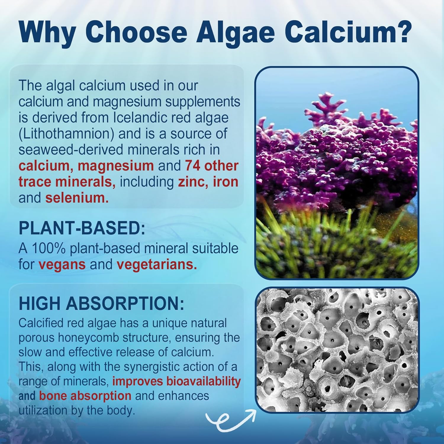 sugar-free-calcium-and-coq10-gummies---nevis-algae-calcium-magnesium-supplement-with-21-ratio-high-absorption-600mg-calcium-and-250mg-coenzyme-q10-3