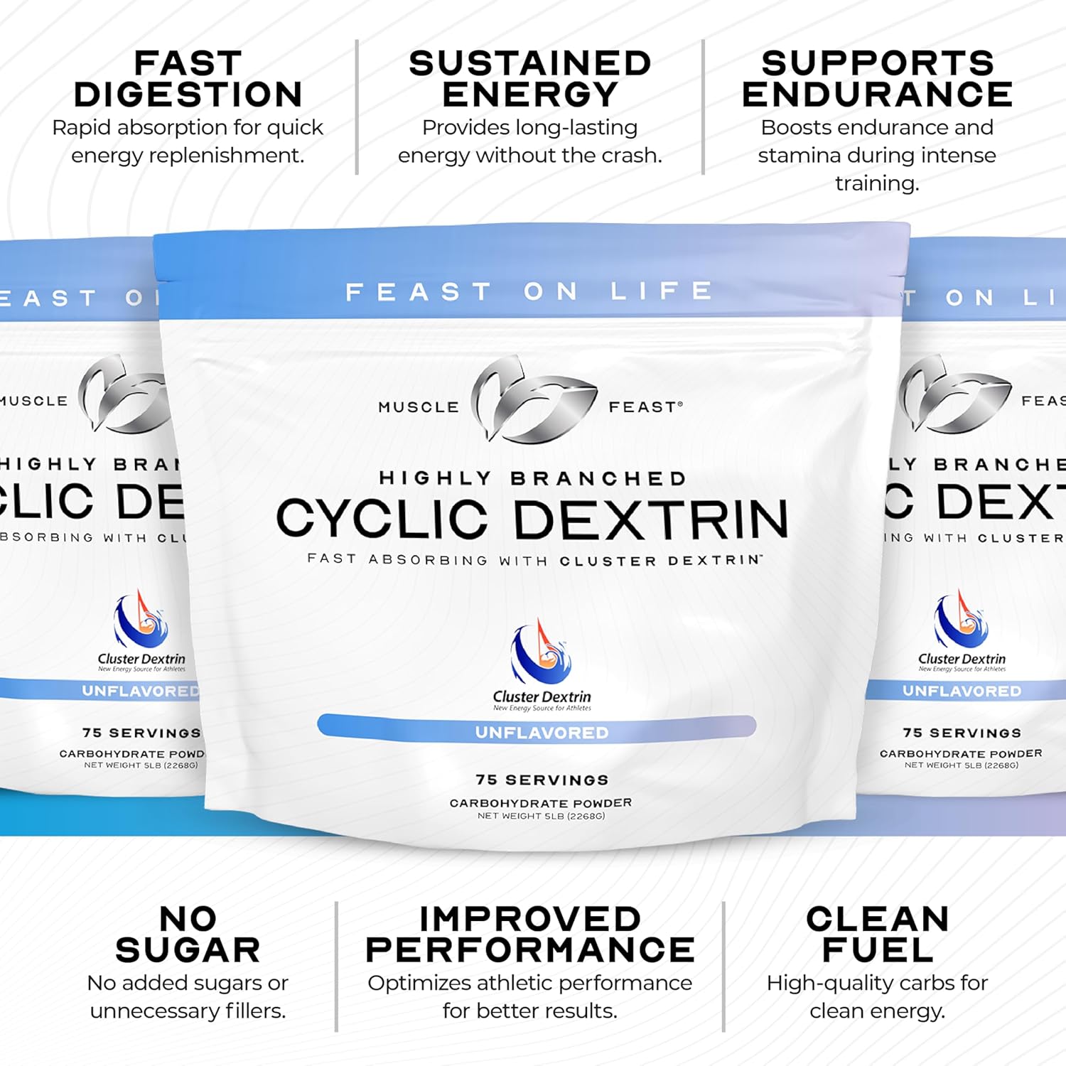 highly-branched-cyclic-dextrin-pre-workout-supplement---unflavored-5lbs-by-muscle-feast-5