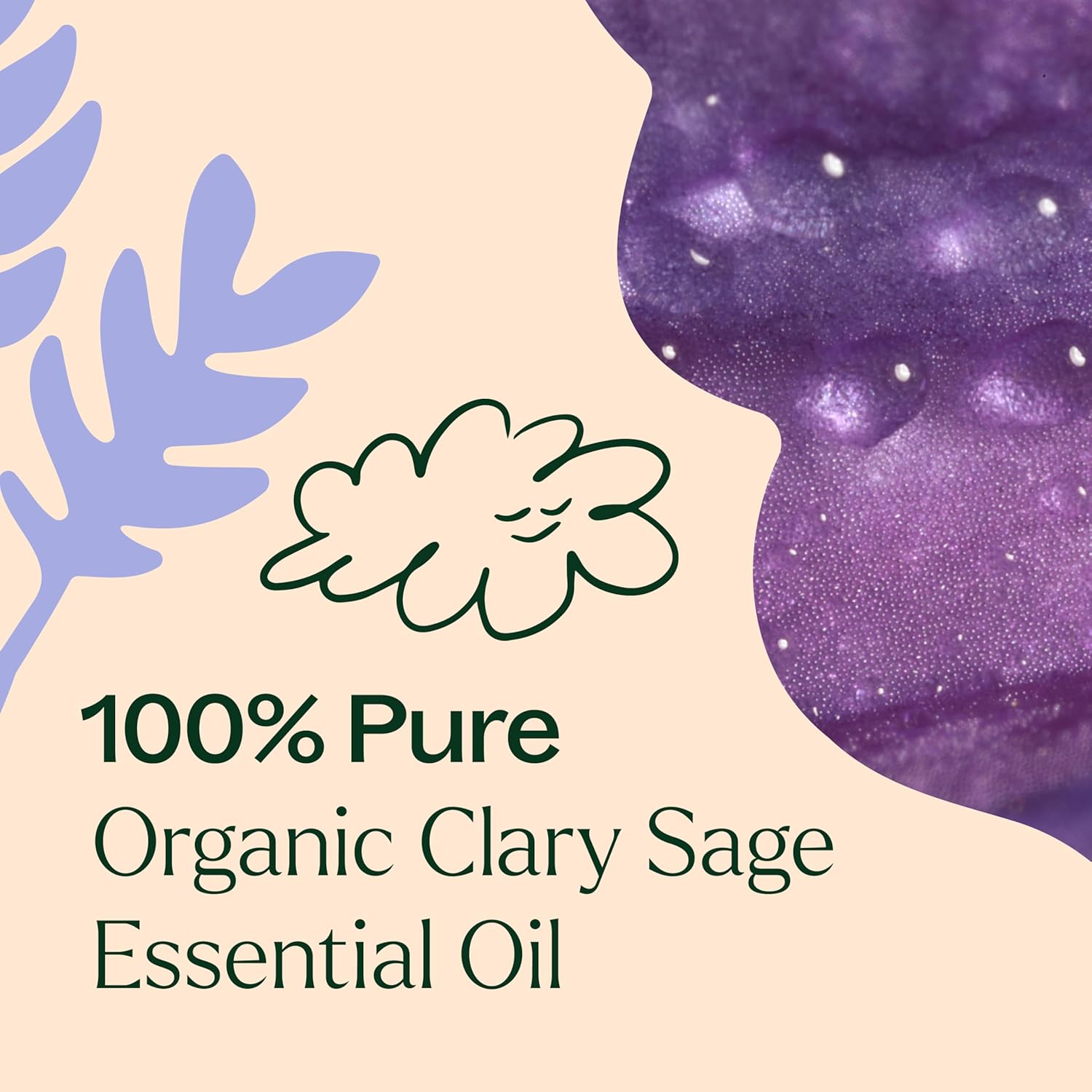 organic-clary-sage-essential-oil---10-ml-13-oz---100-pure-natural---aromatherapy-therapeutic-grade-8