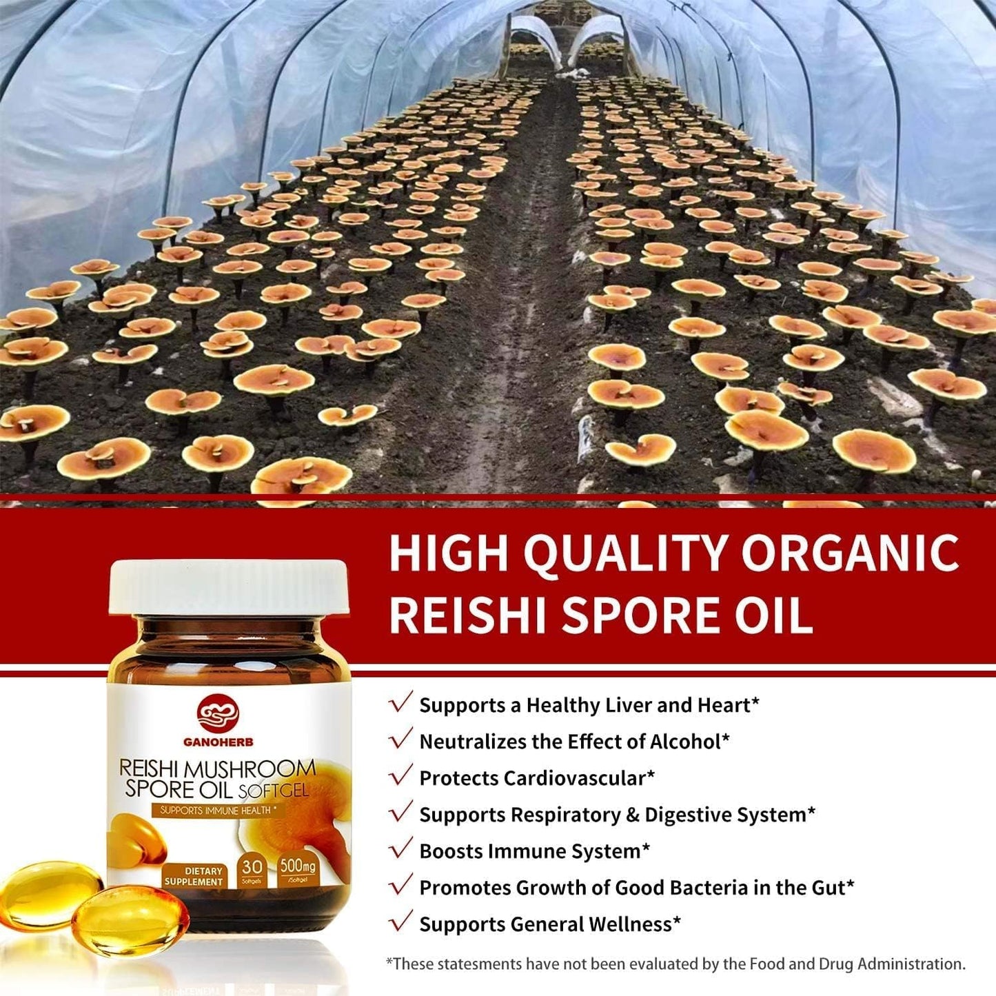 premium-ganoherb-reishi-mushroom-capsules-and-spore-oil-supplement-for-immune-support-and-overall-wellness-9