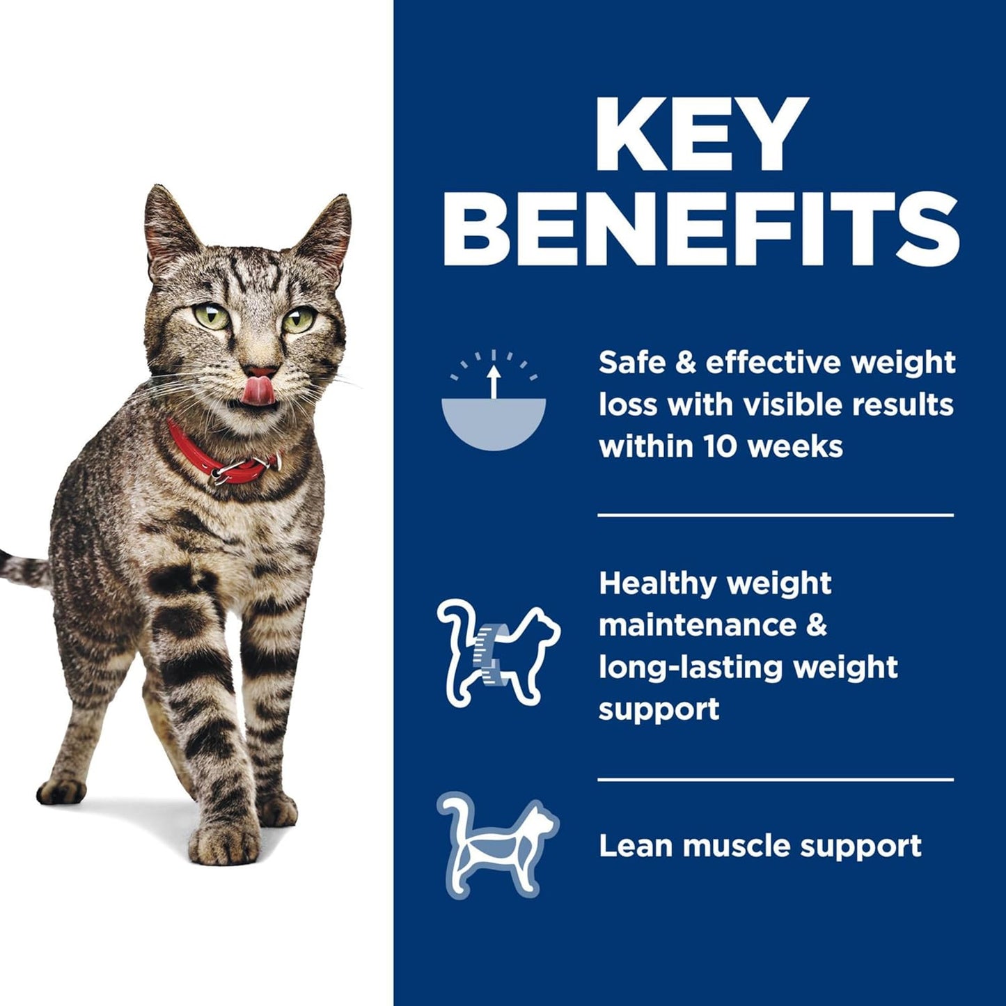 hills-science-diet-perfect-weight-adult-cat-food-weight-management-support-chicken-recipe---3lb-bag-5