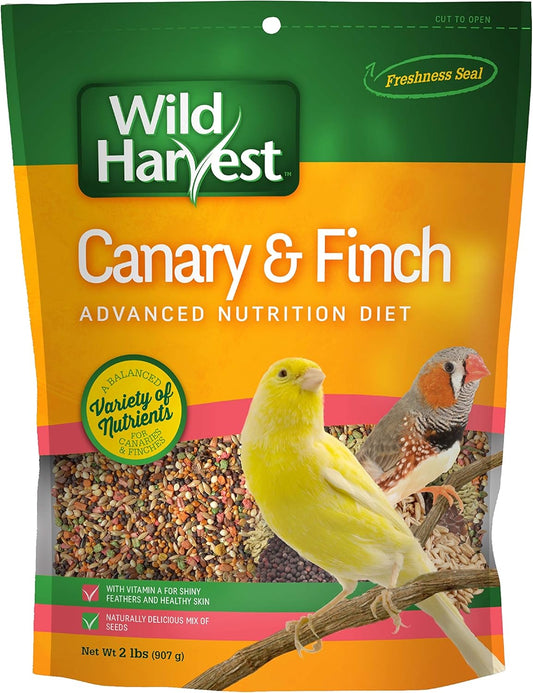 nutrient-rich-diet-for-canary-finch-2lb-seed-mix-with-vitamin-a-for-health-vitality-1
