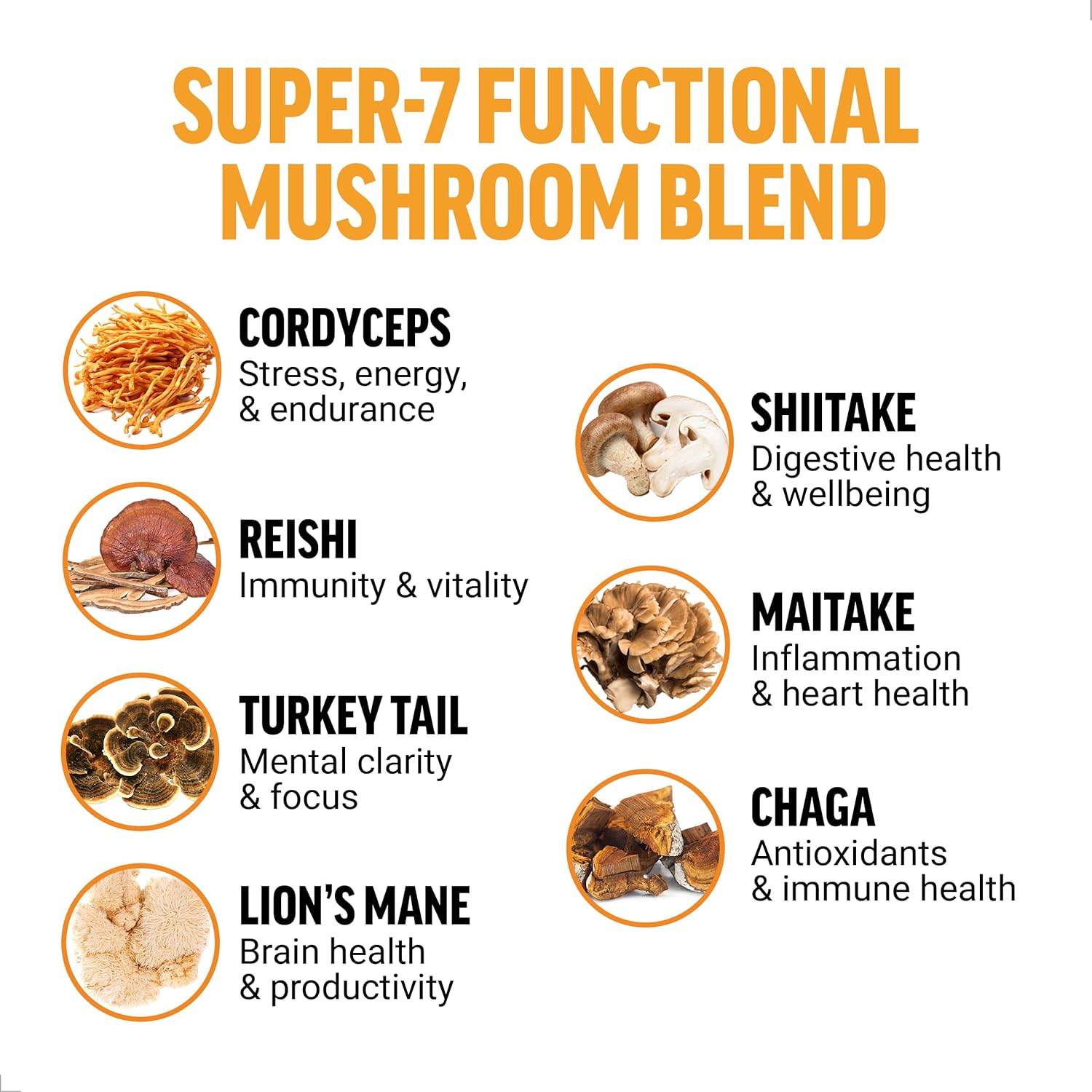 force-factor-modern-mushrooms-powder---energy-focus-immunity-digestion-support-supplement-with-cordyceps-turkey-tail-chaga-reishi-lions-mane-shiitake---unflavored-30-servings-3